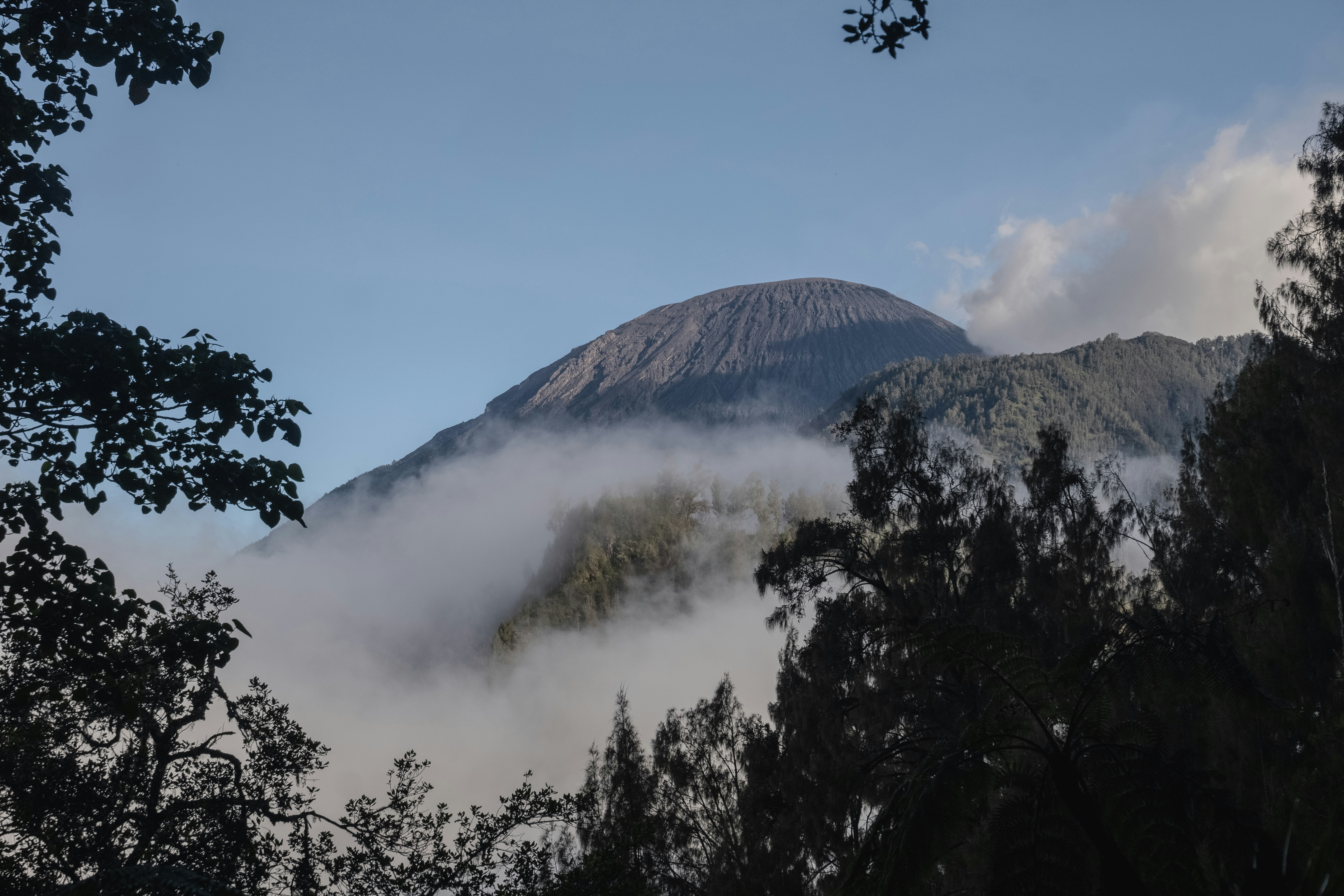 Misty forest at the base of a distant peak with blue sky and clouds; foreground trees frame the scene and a thin veil of fog drifts across the midground.