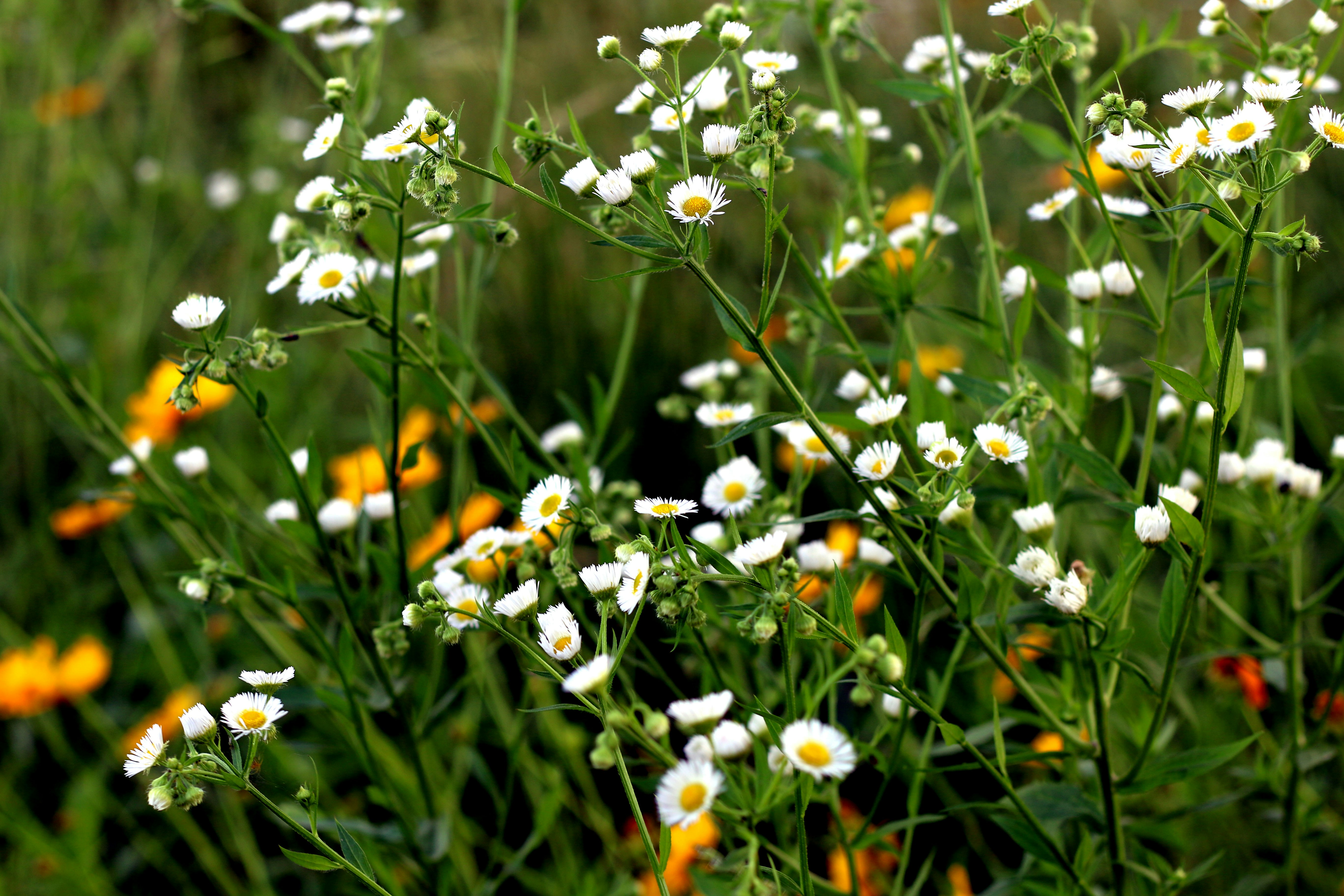 Photo by chulho