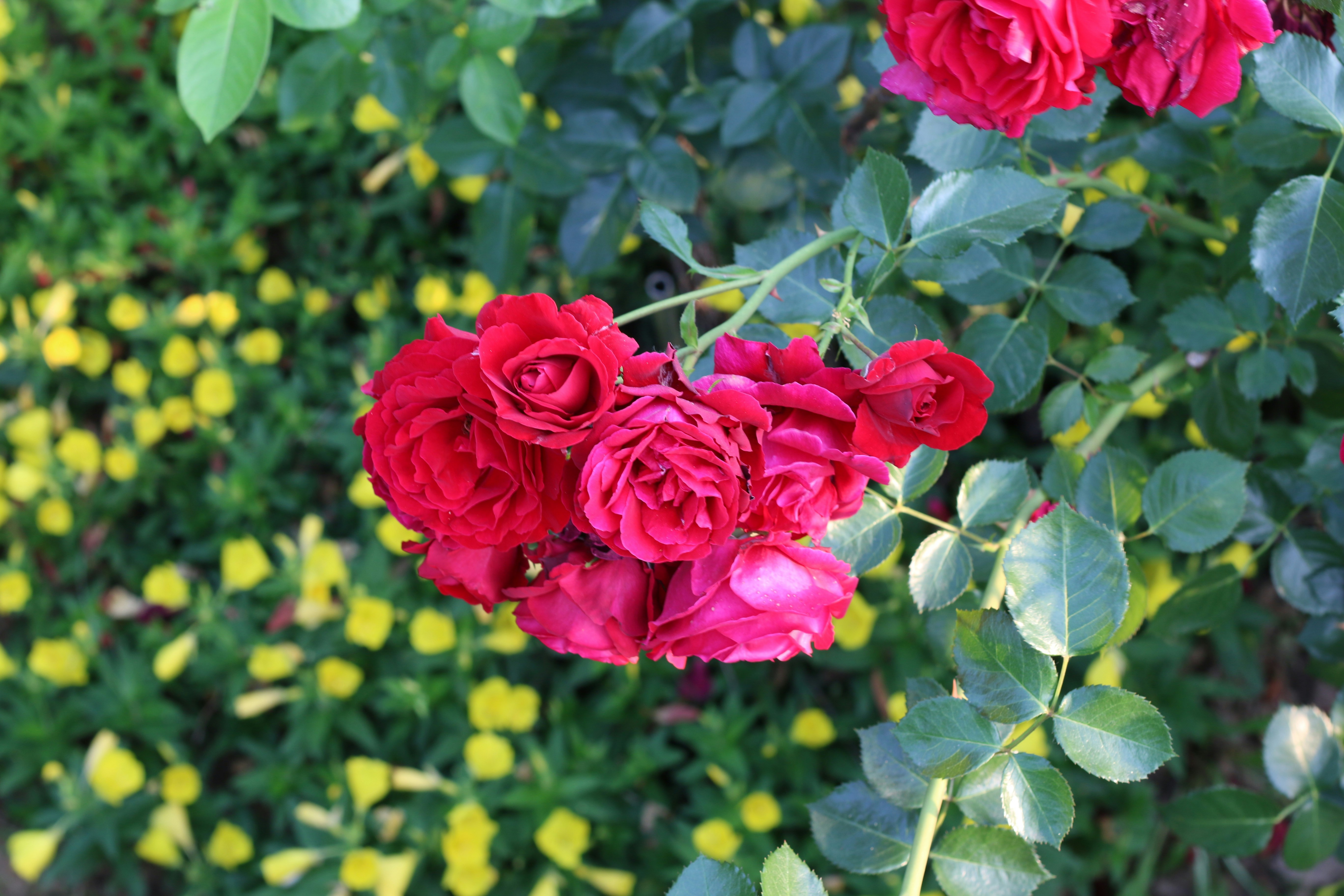 Photo by chulho