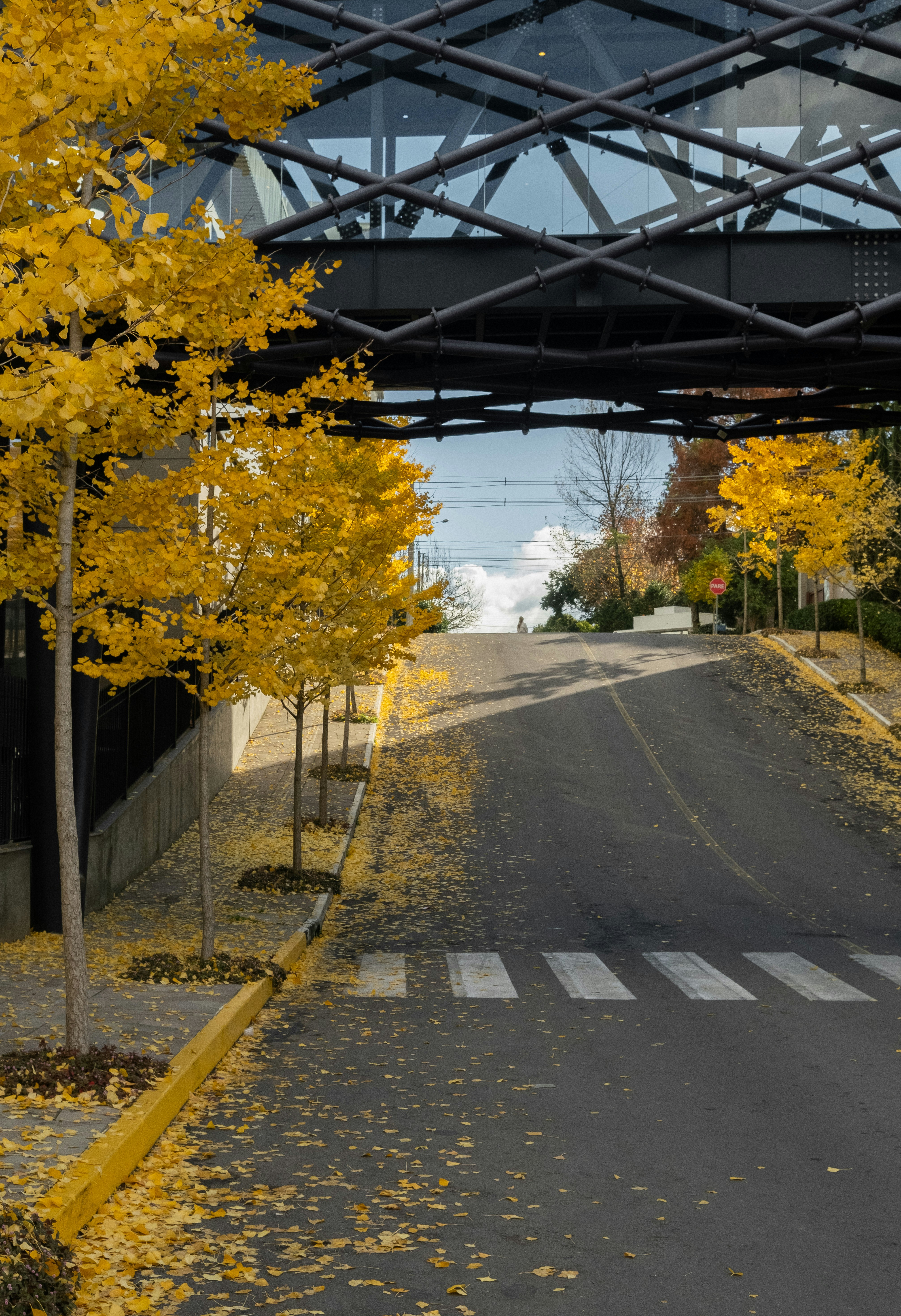 Autumn street with yellow leaves and an overhead bridge.
