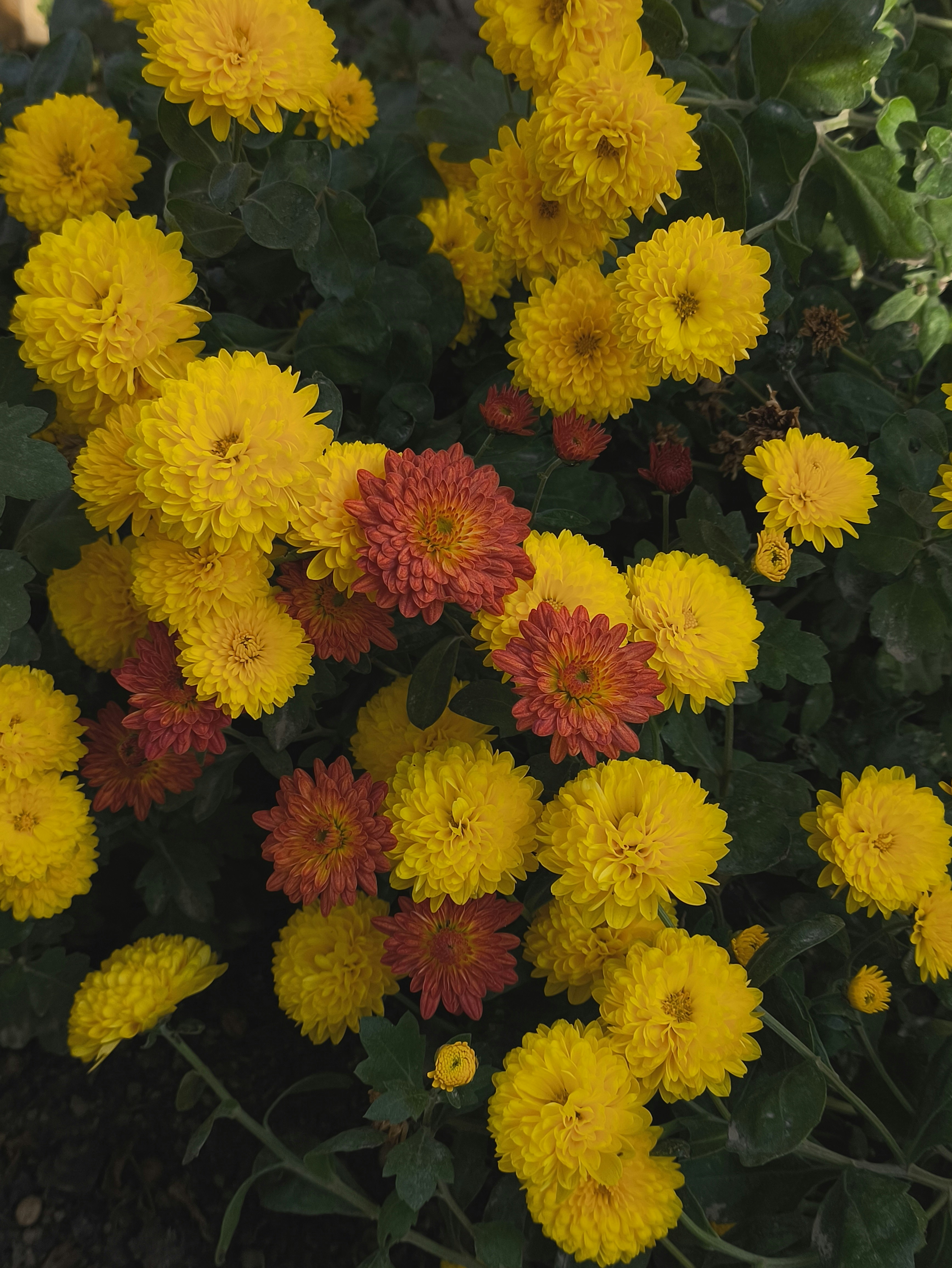 Photo by anevans