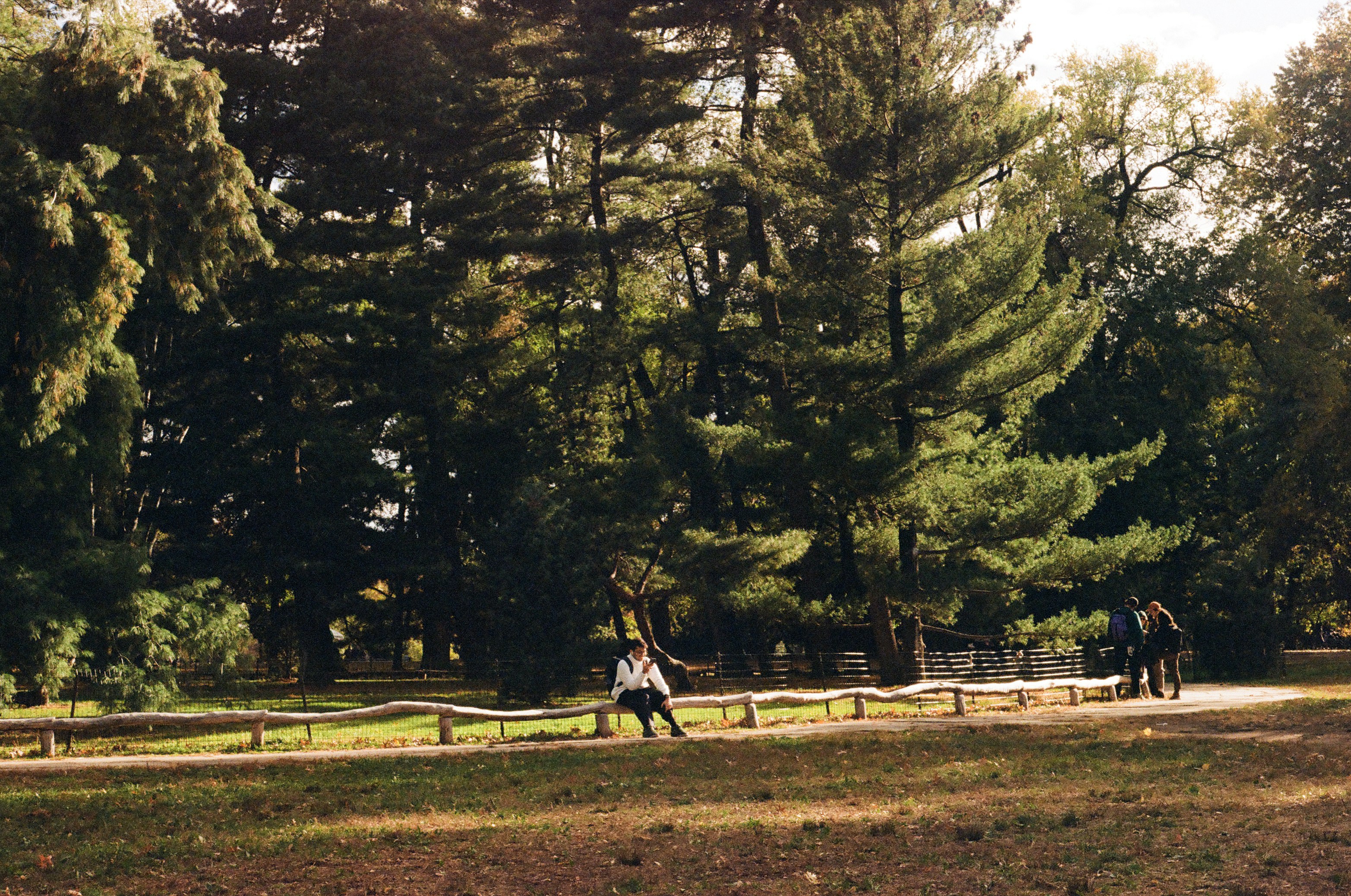 William McGill Park
