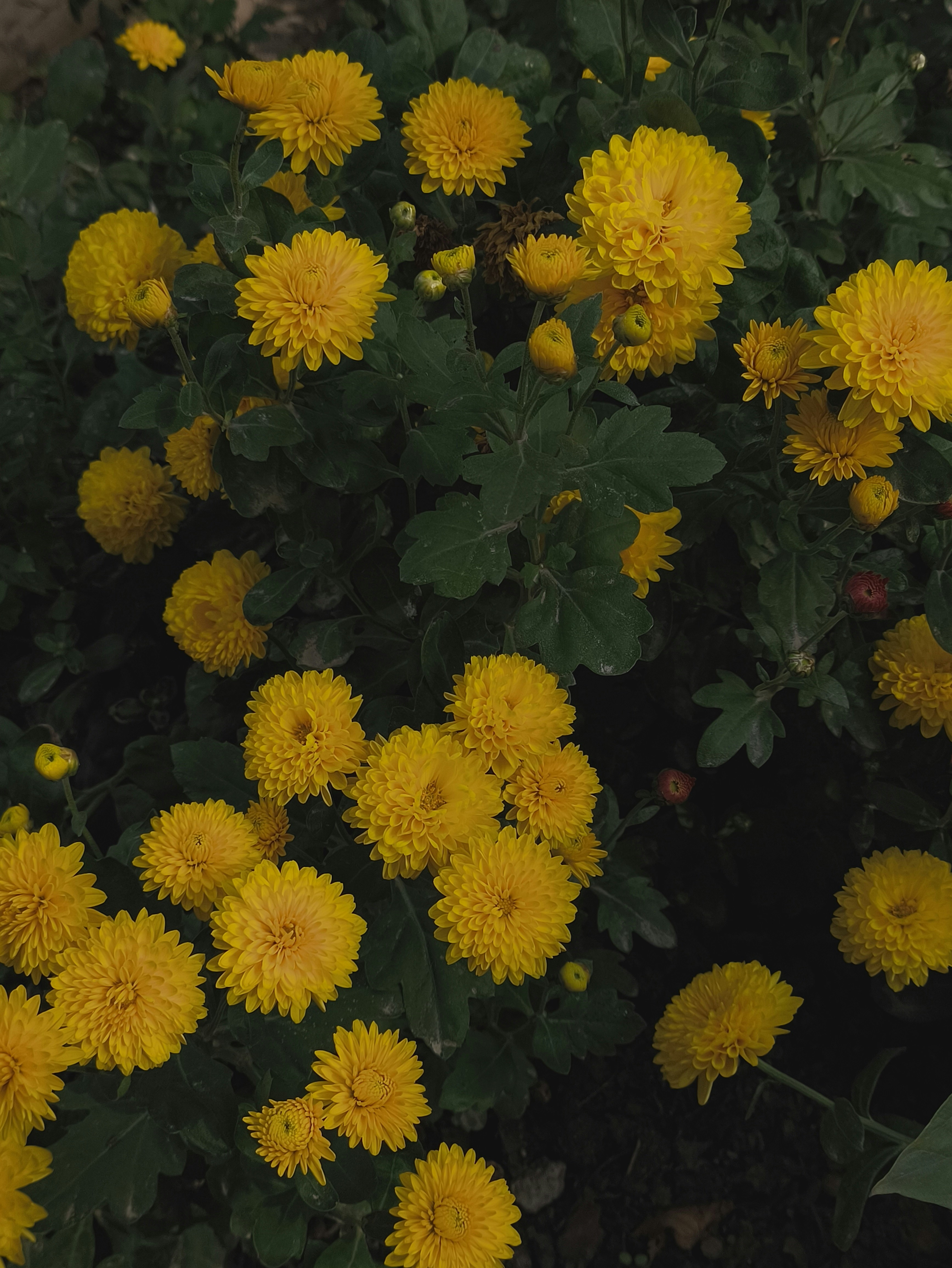 Photo by anevans