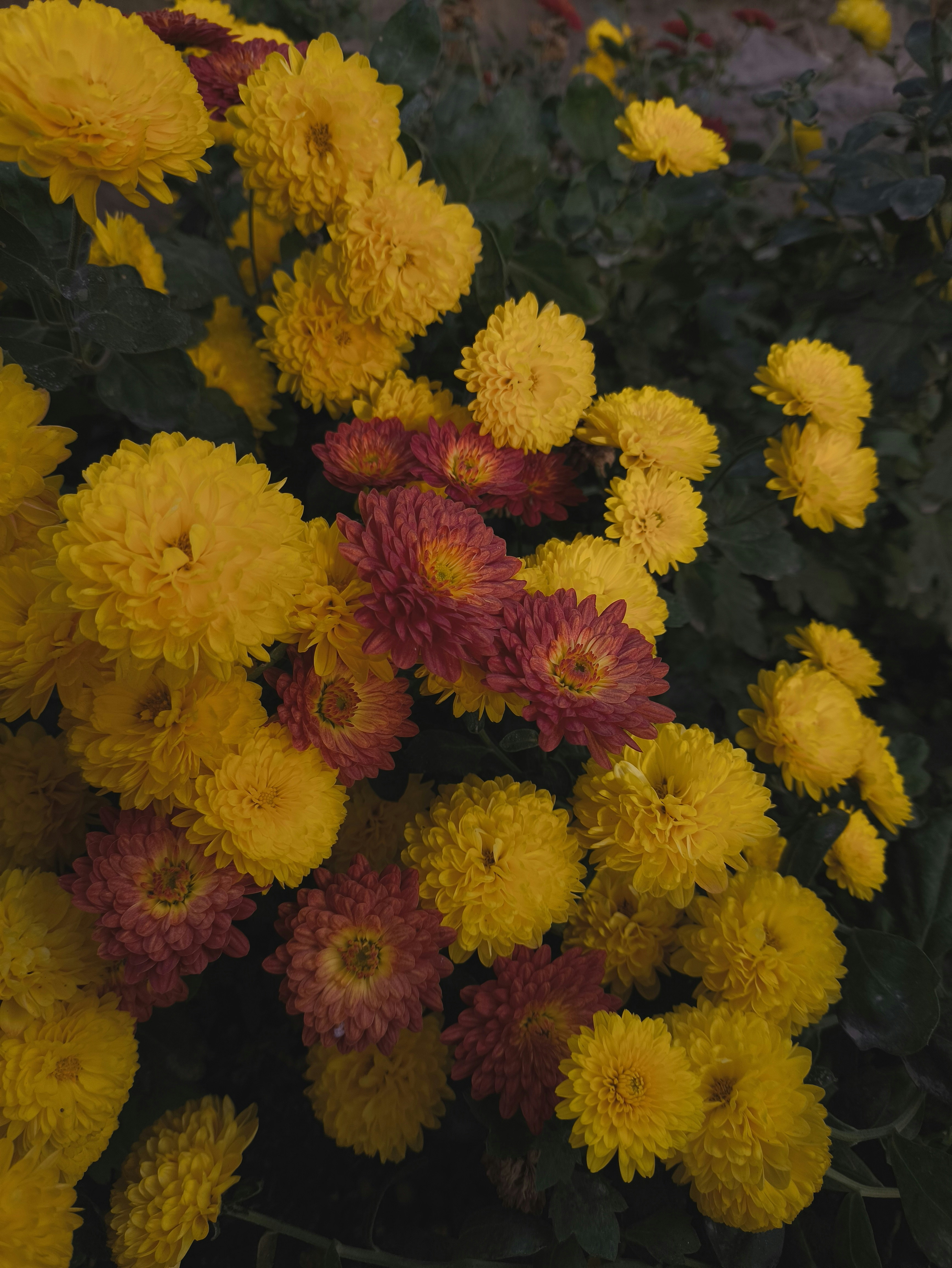 Photo by anevans