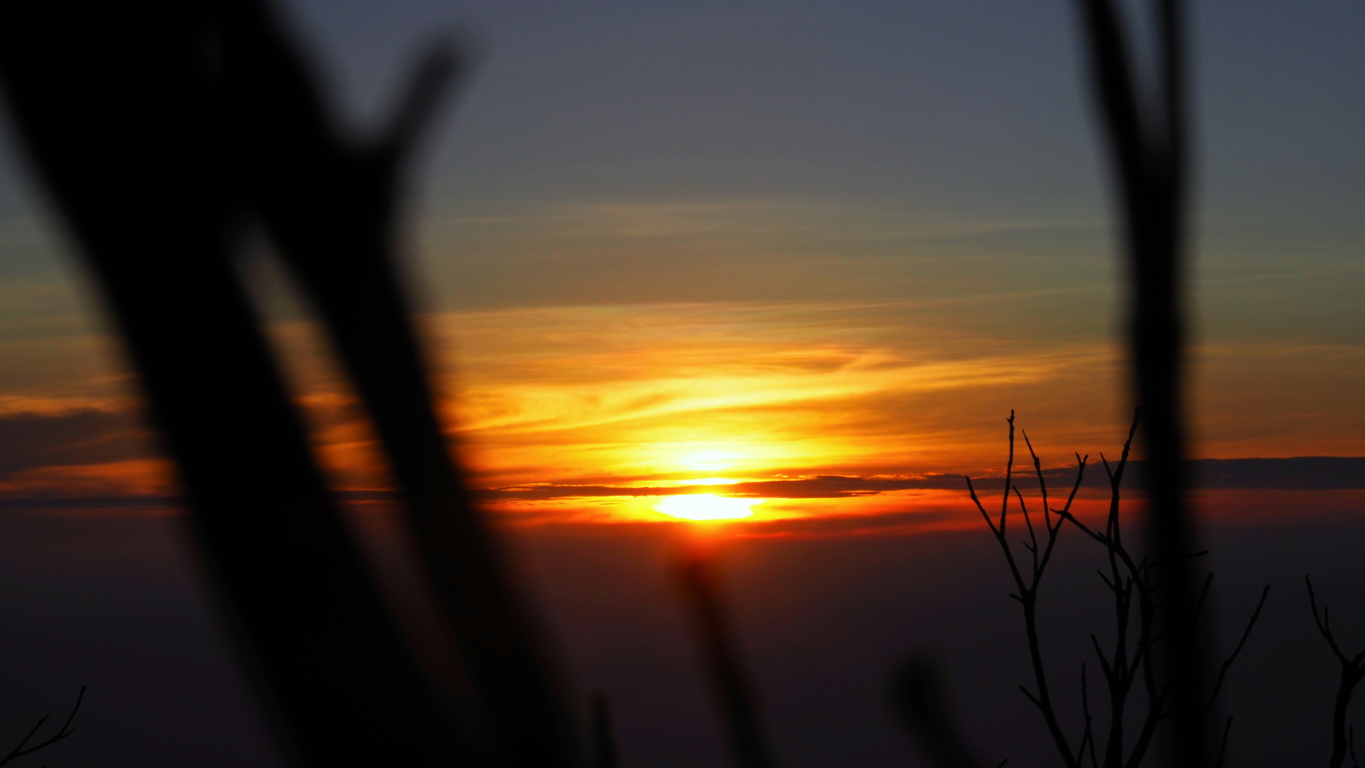 Photo by shirleenok