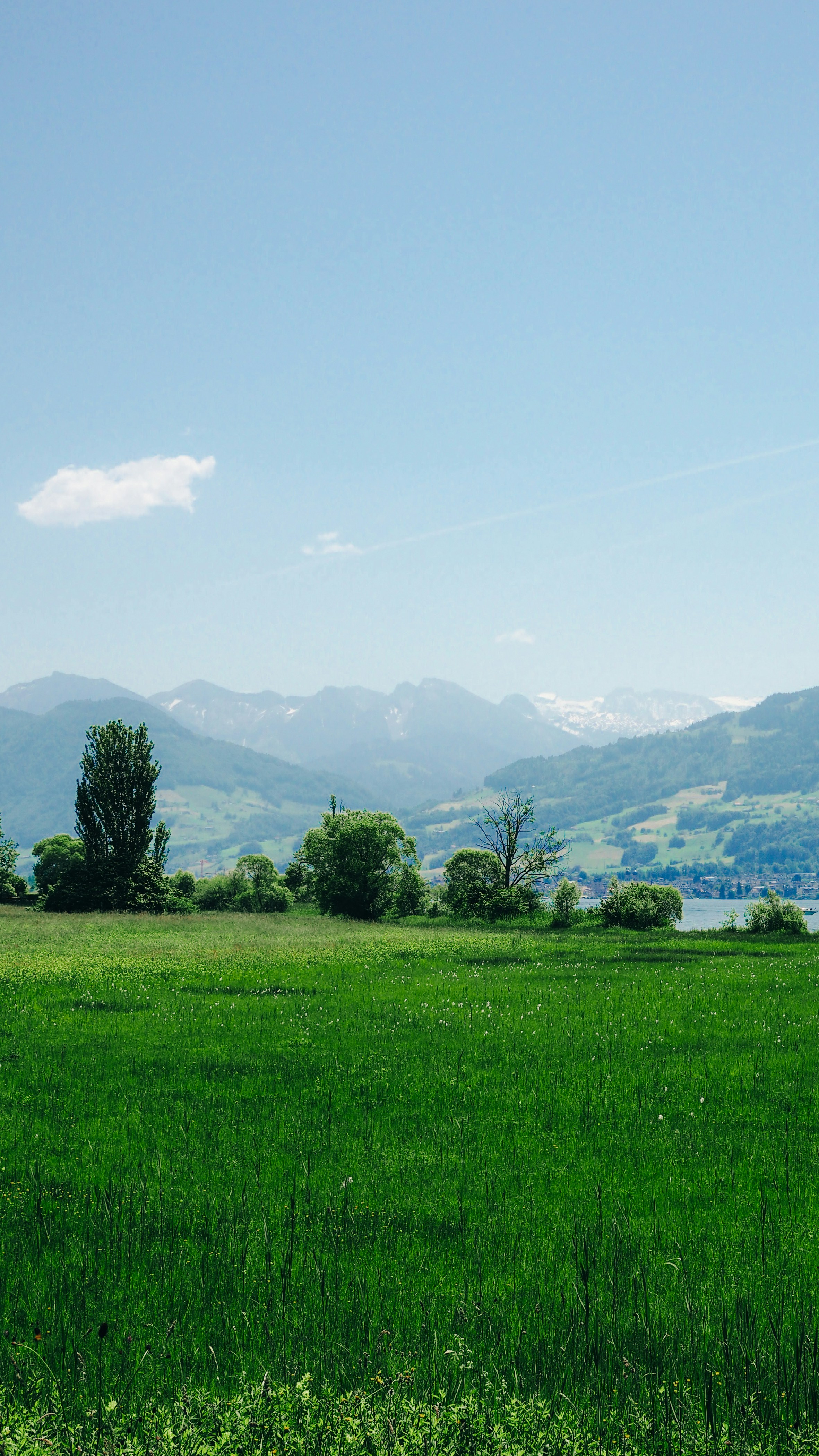 Green meadow, trees, lake, and snow-capped mountains.