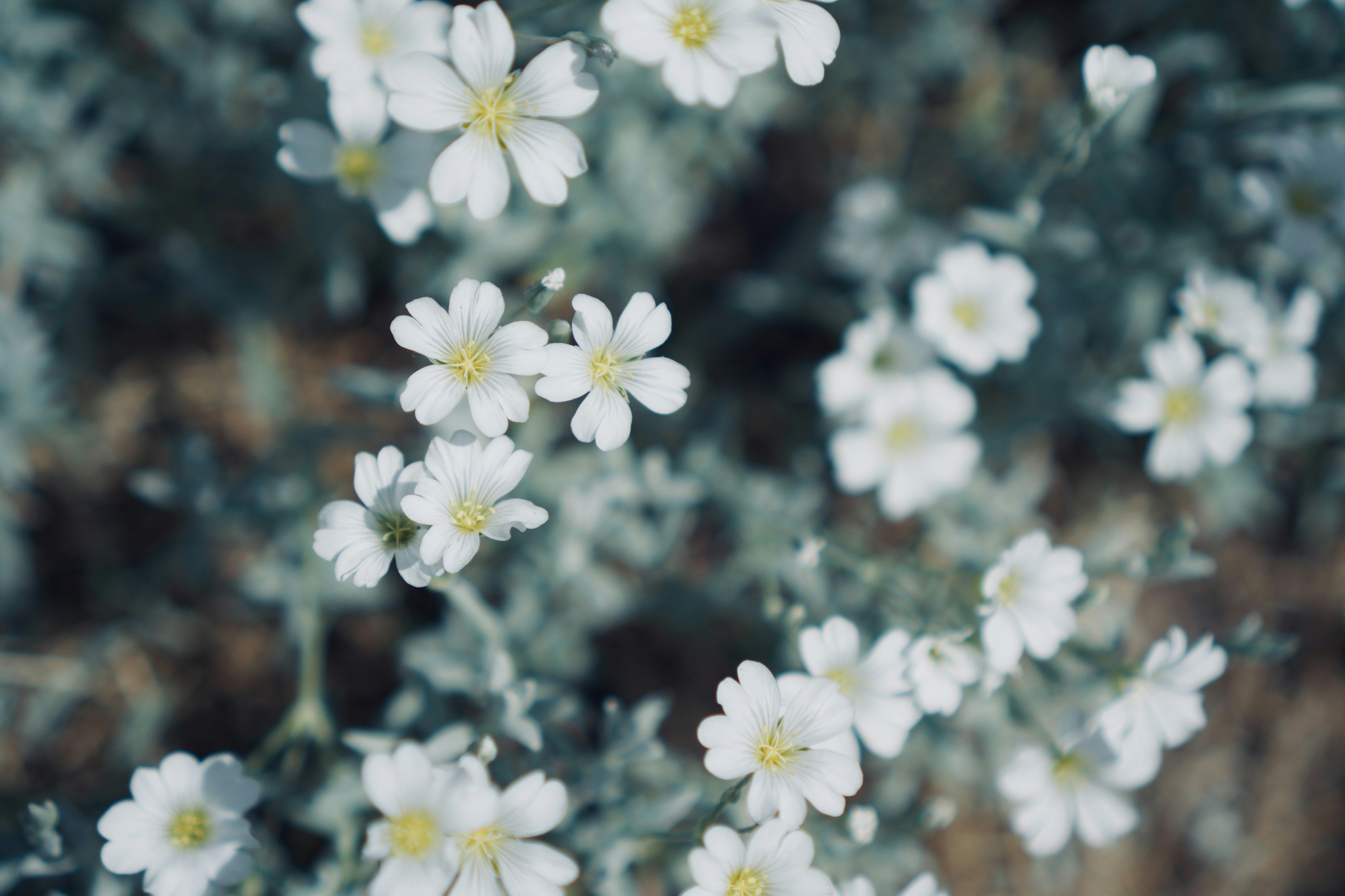 Photo by meinayin
