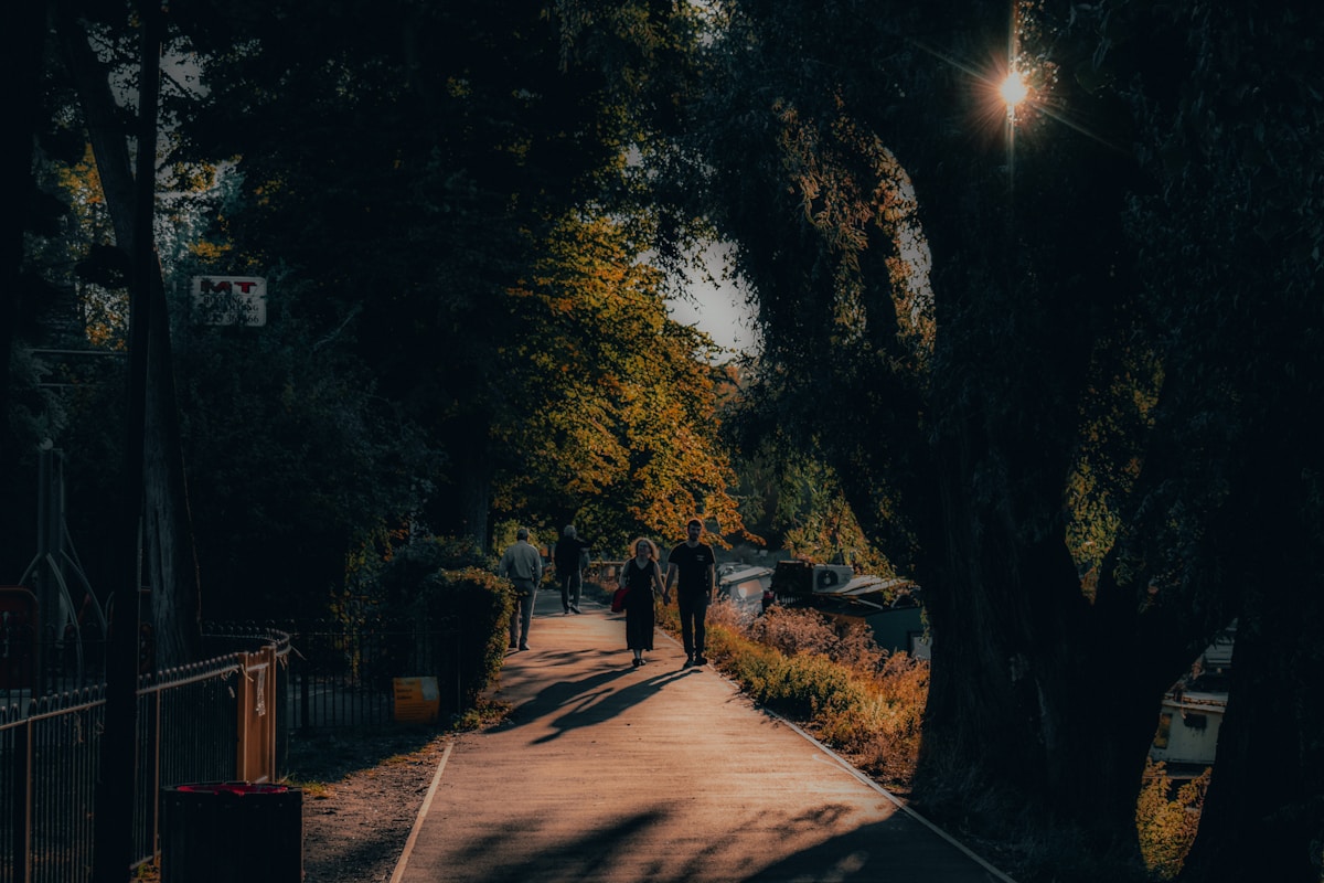 People walking on a sun-dappled path under arching trees.