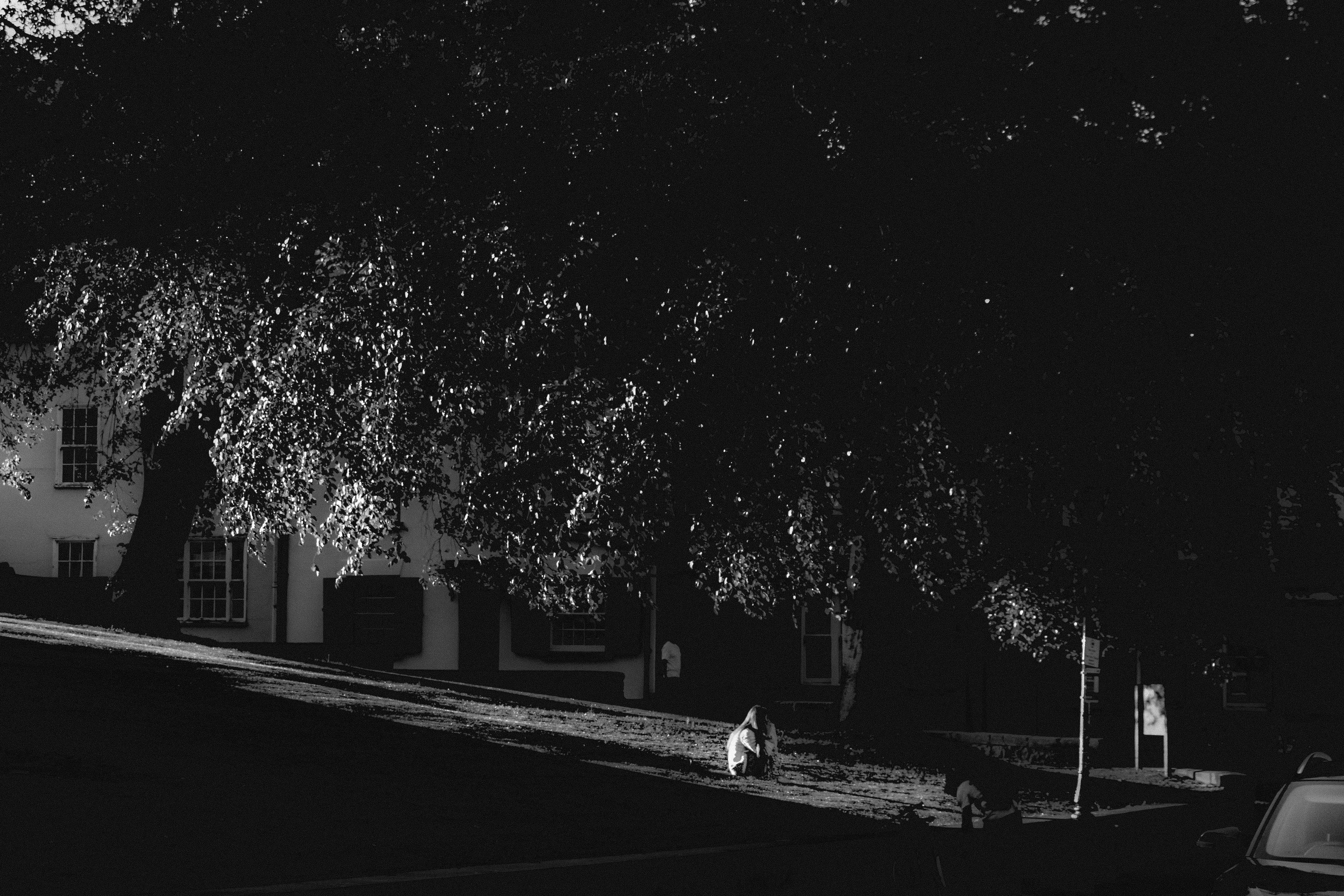 Photo by vrajpatell