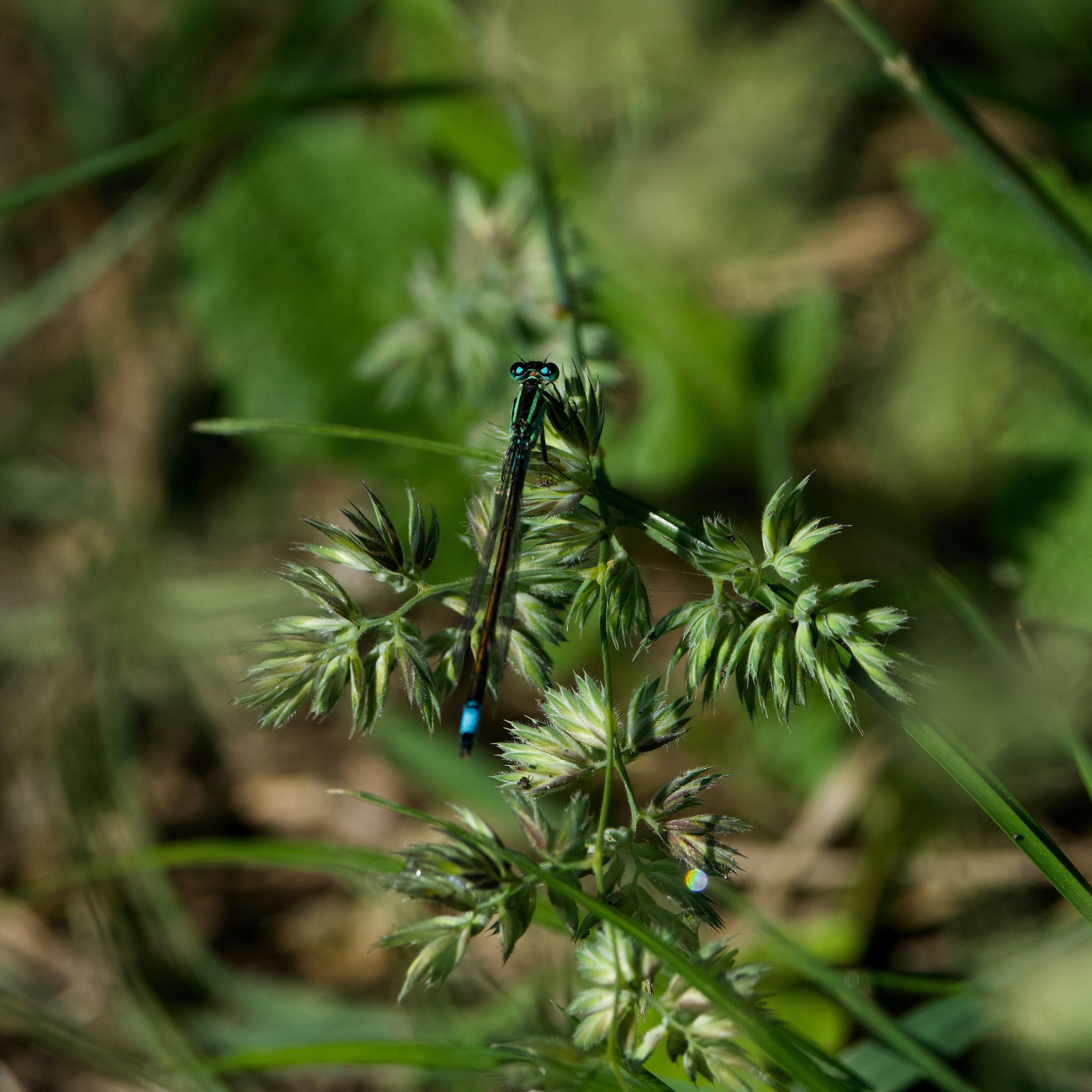 Photo by luke168