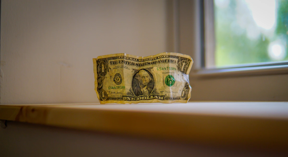 The Reality of Remote USD Salaries: AI vs.
