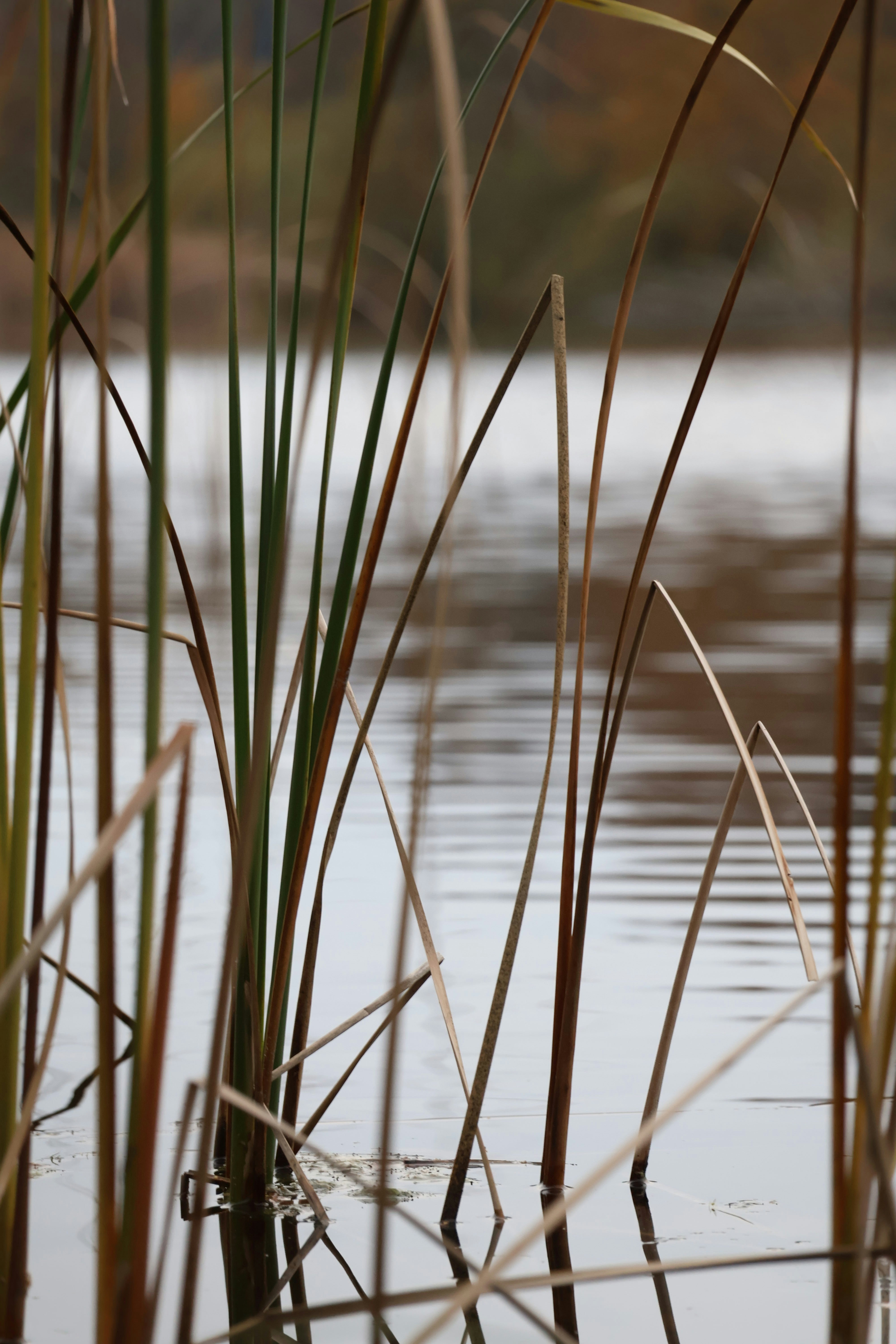 Photo by mpkristiansen