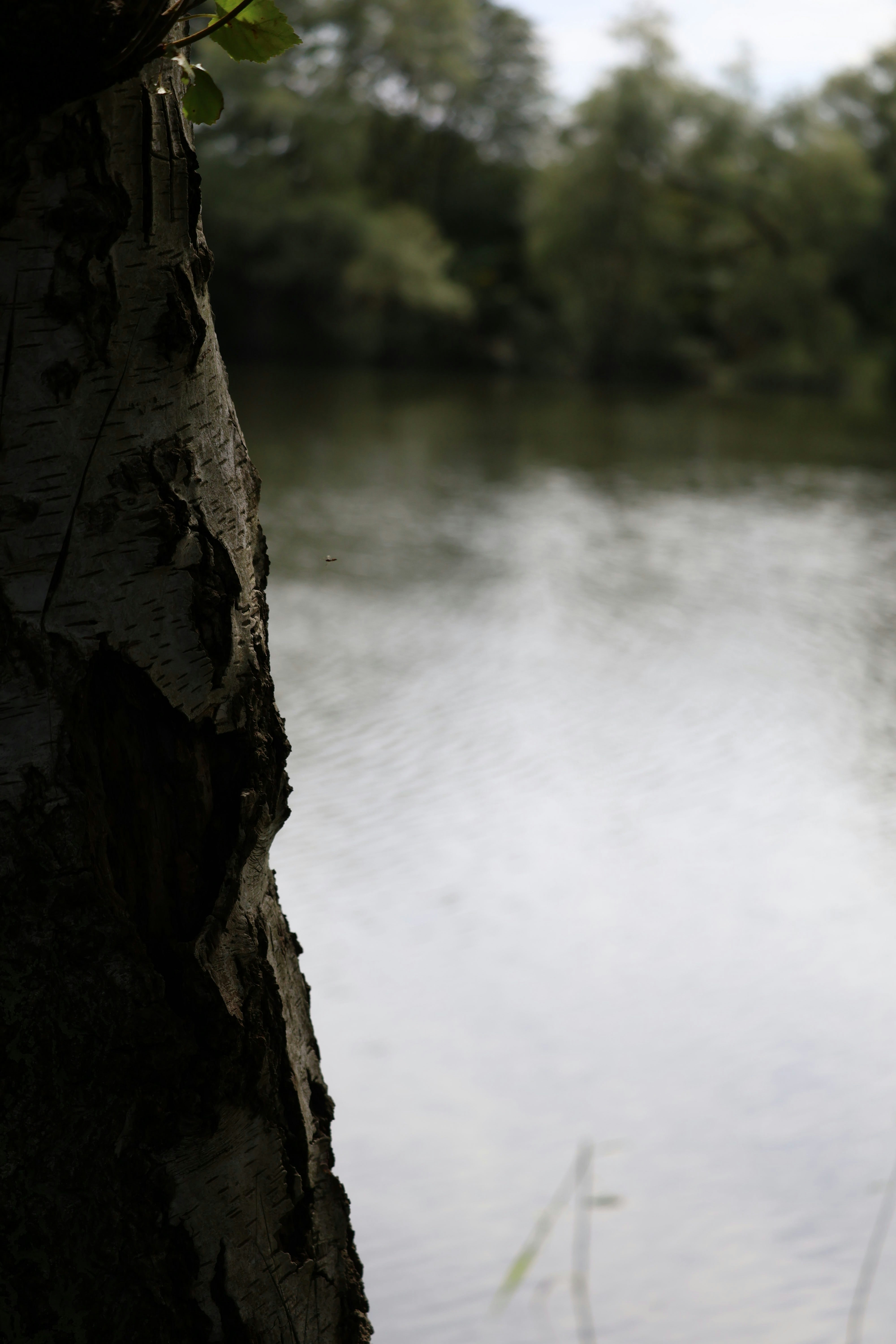 Photo by mpkristiansen