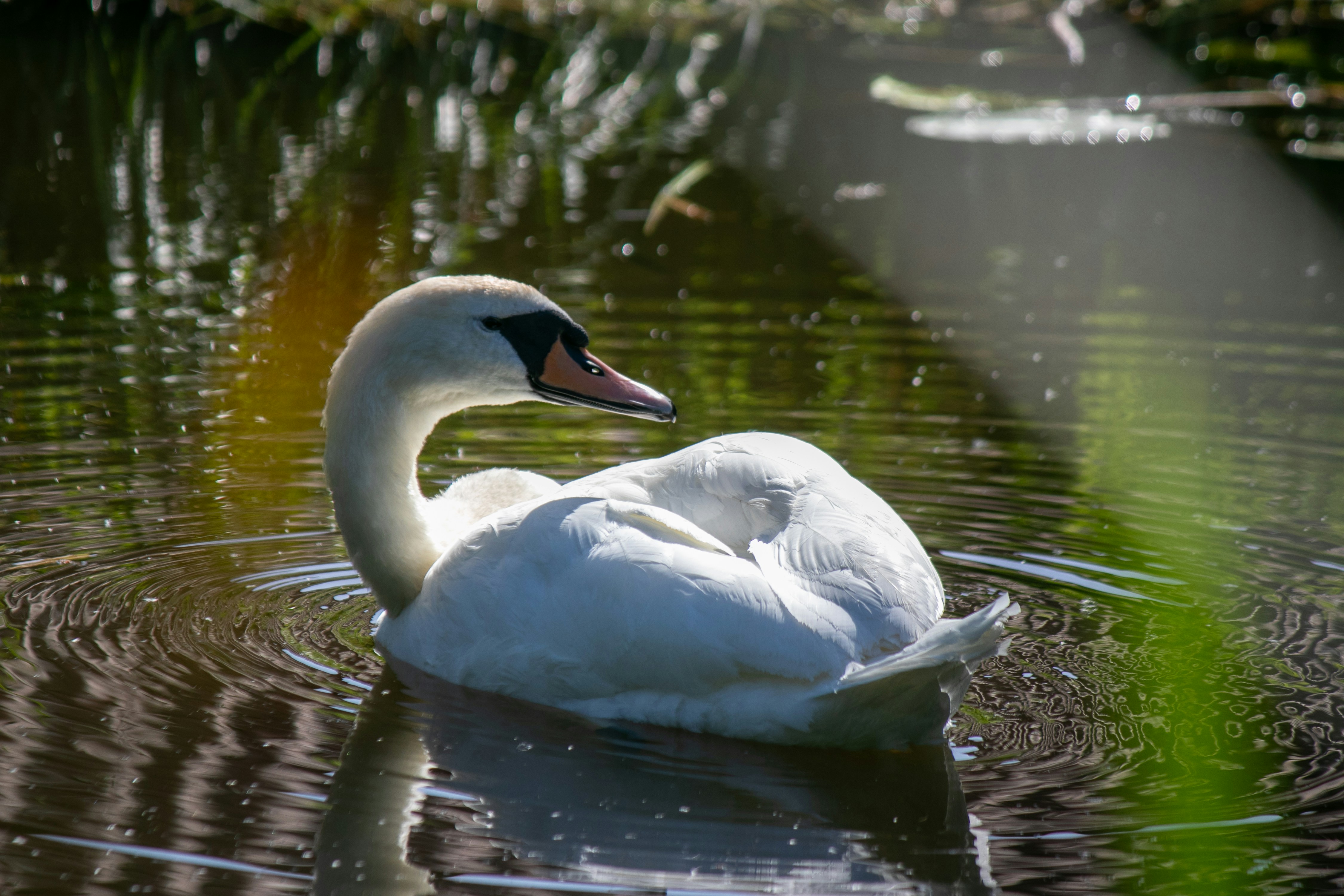Photo by wlkr_photography