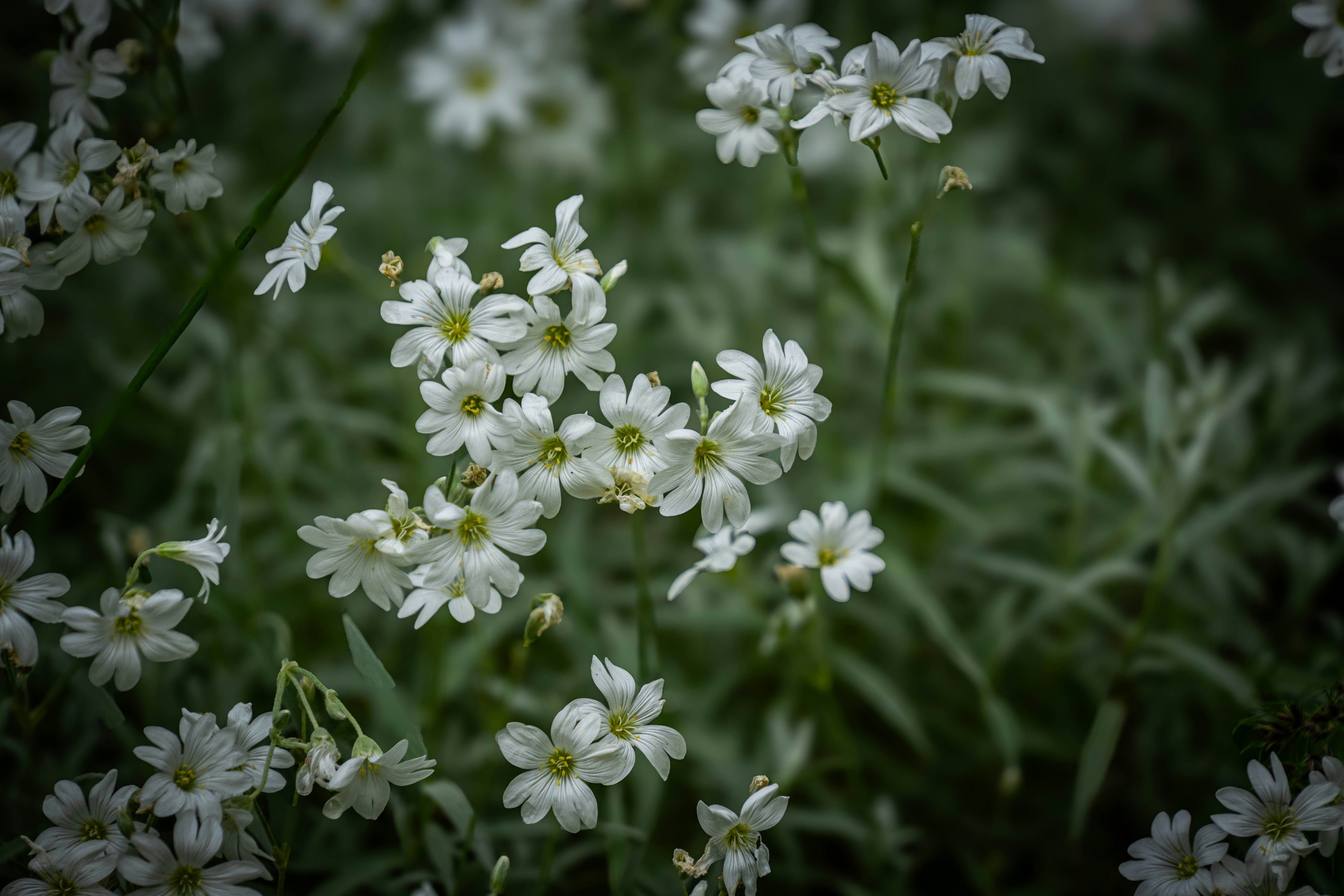 Photo by maviatlas
