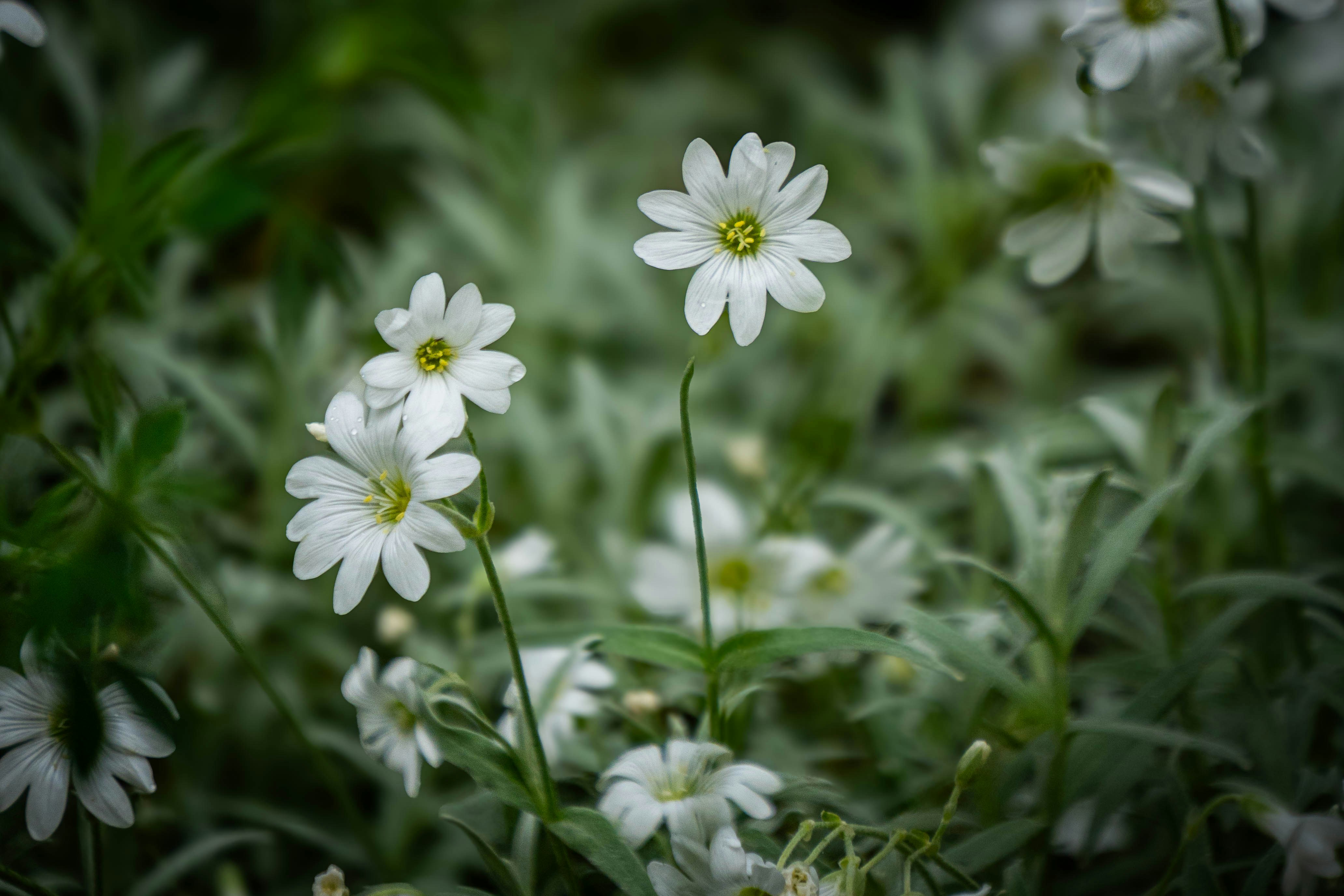 Photo by maviatlas