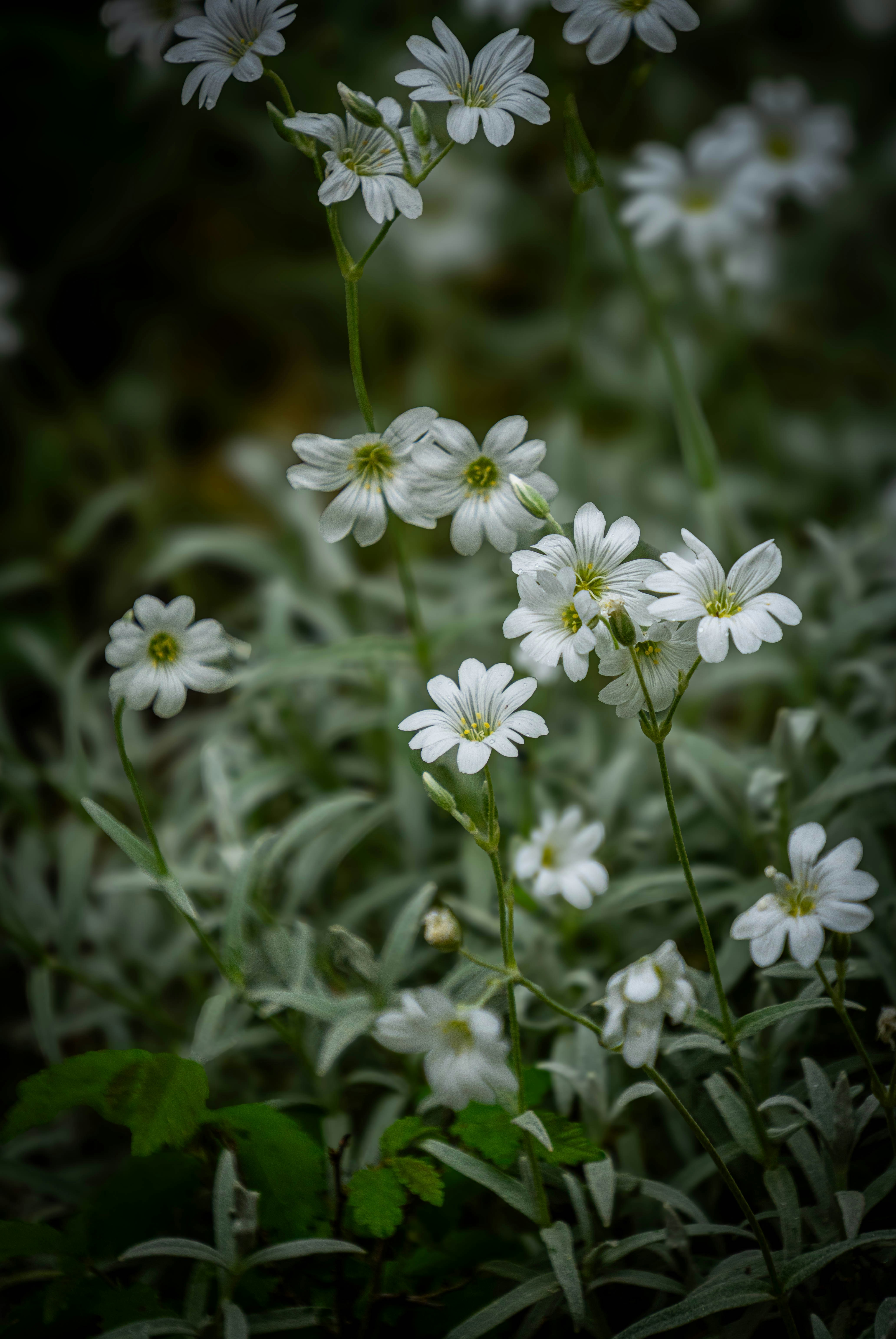 Photo by maviatlas
