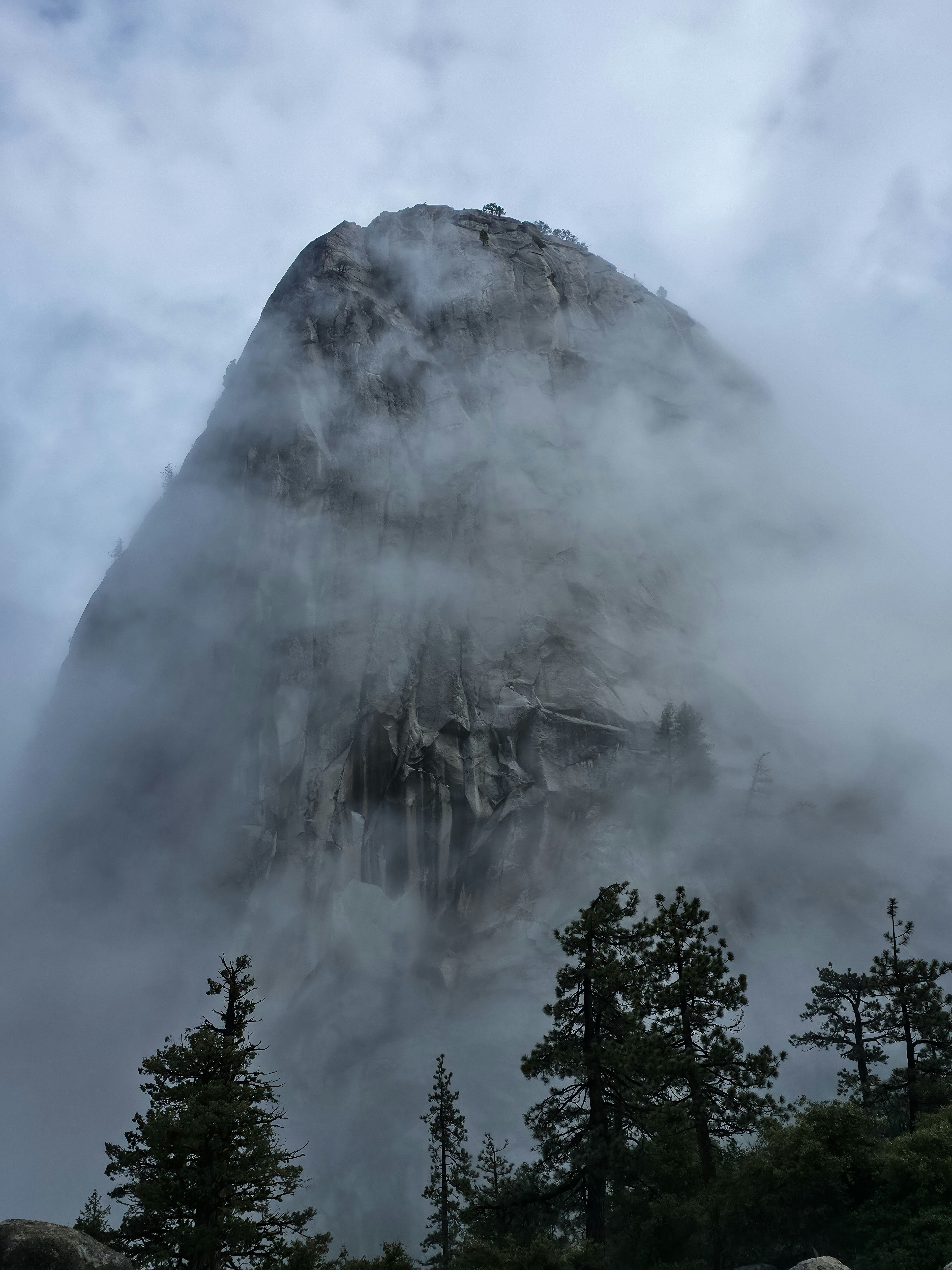 Misty mountain peak surrounded by dense clouds and evergreen trees.