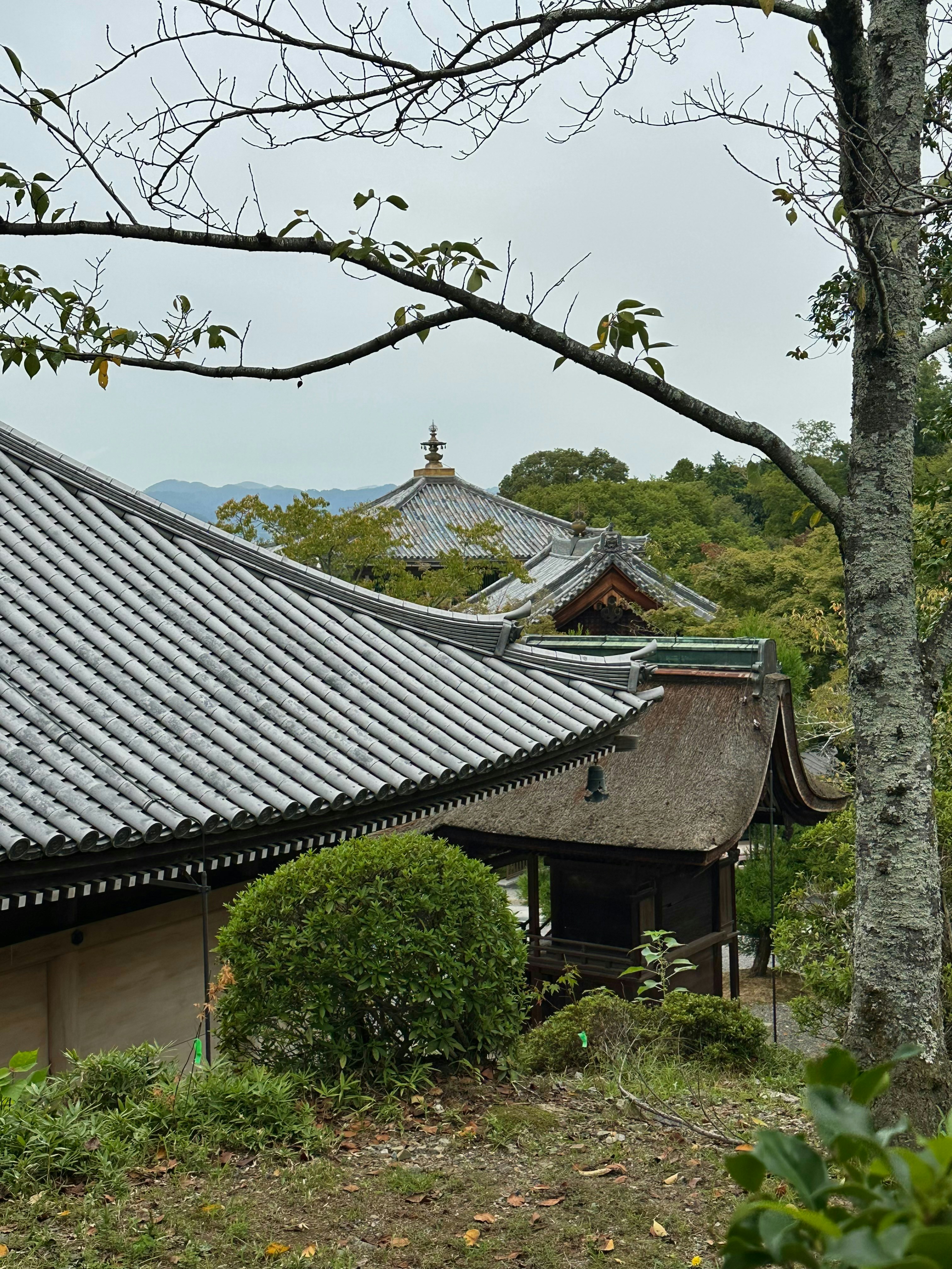 Photo by galleryofsr