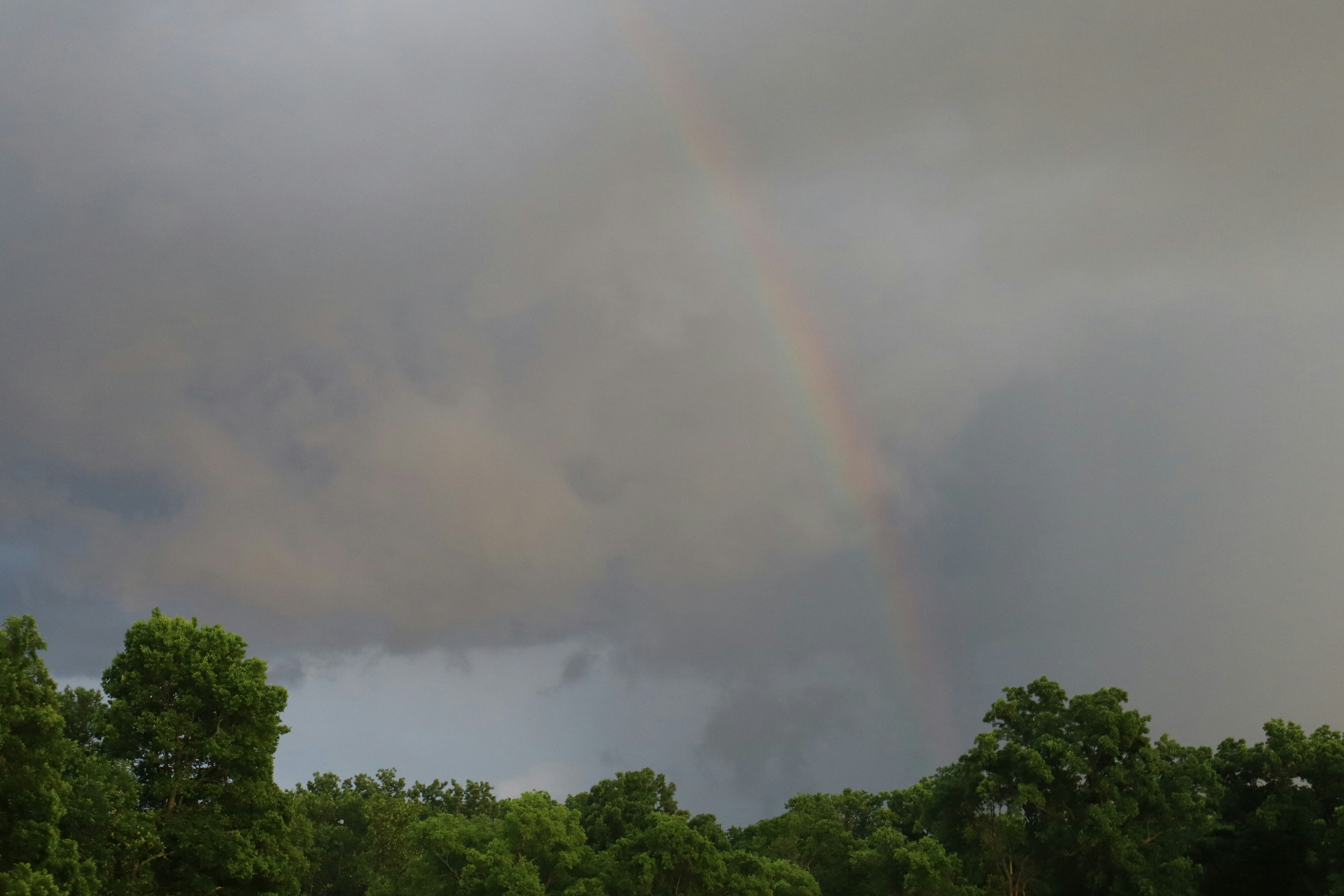 A faint rainbow in cloudy sky above green trees.