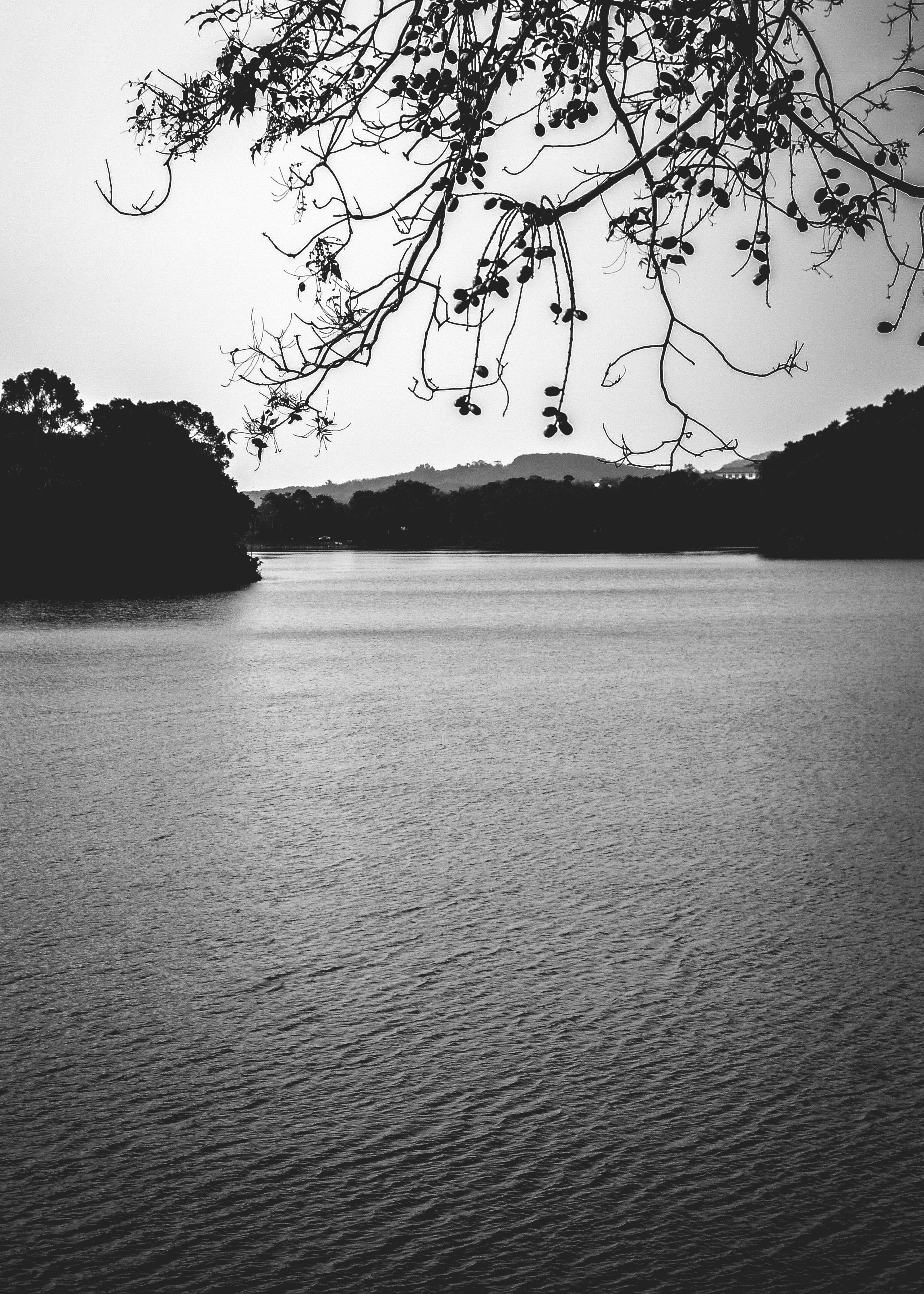 Photo by abhilashbalakrishnan97
