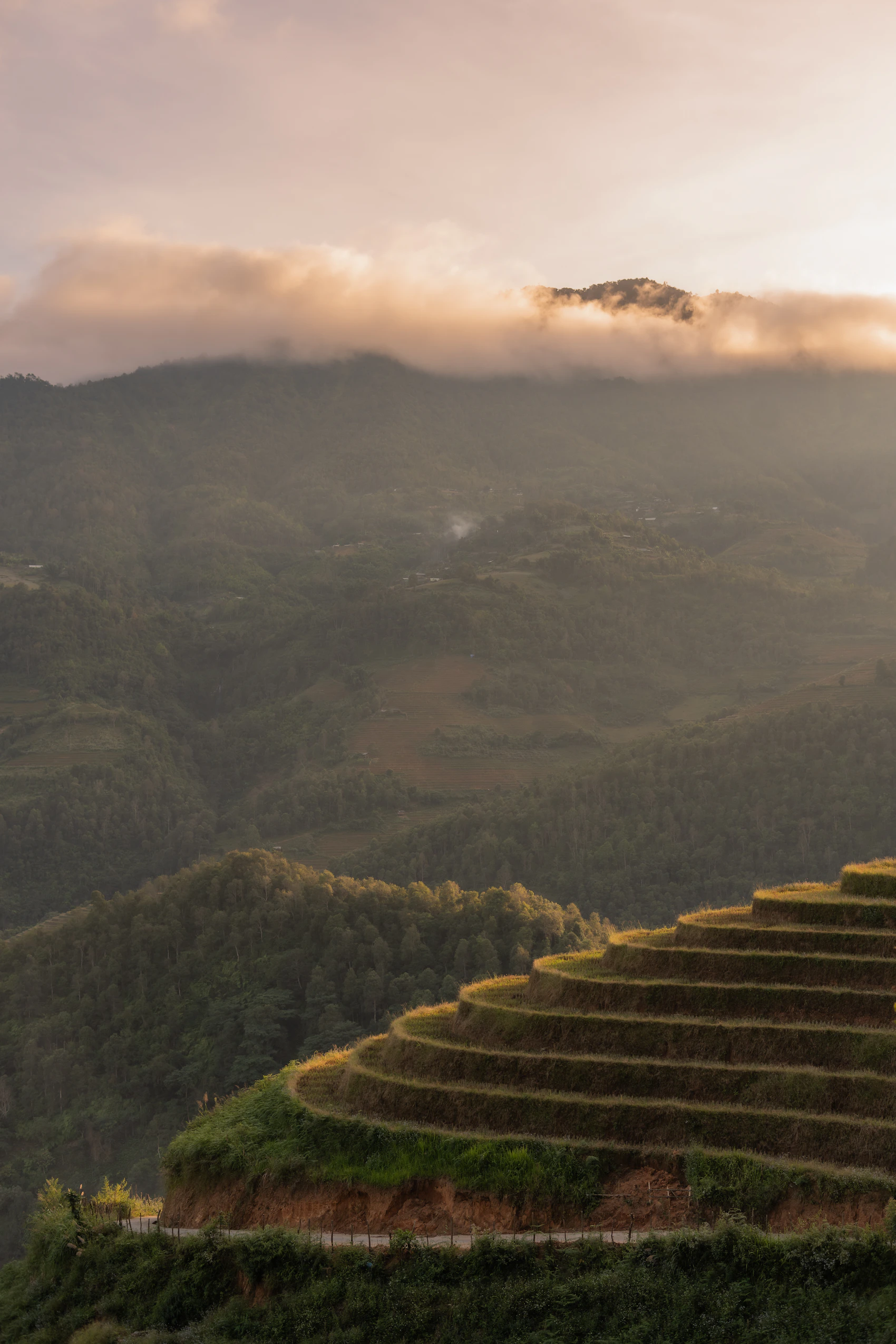 Terraced rice fields and mountains at sunset in Mù Cang Chải, Vietnam