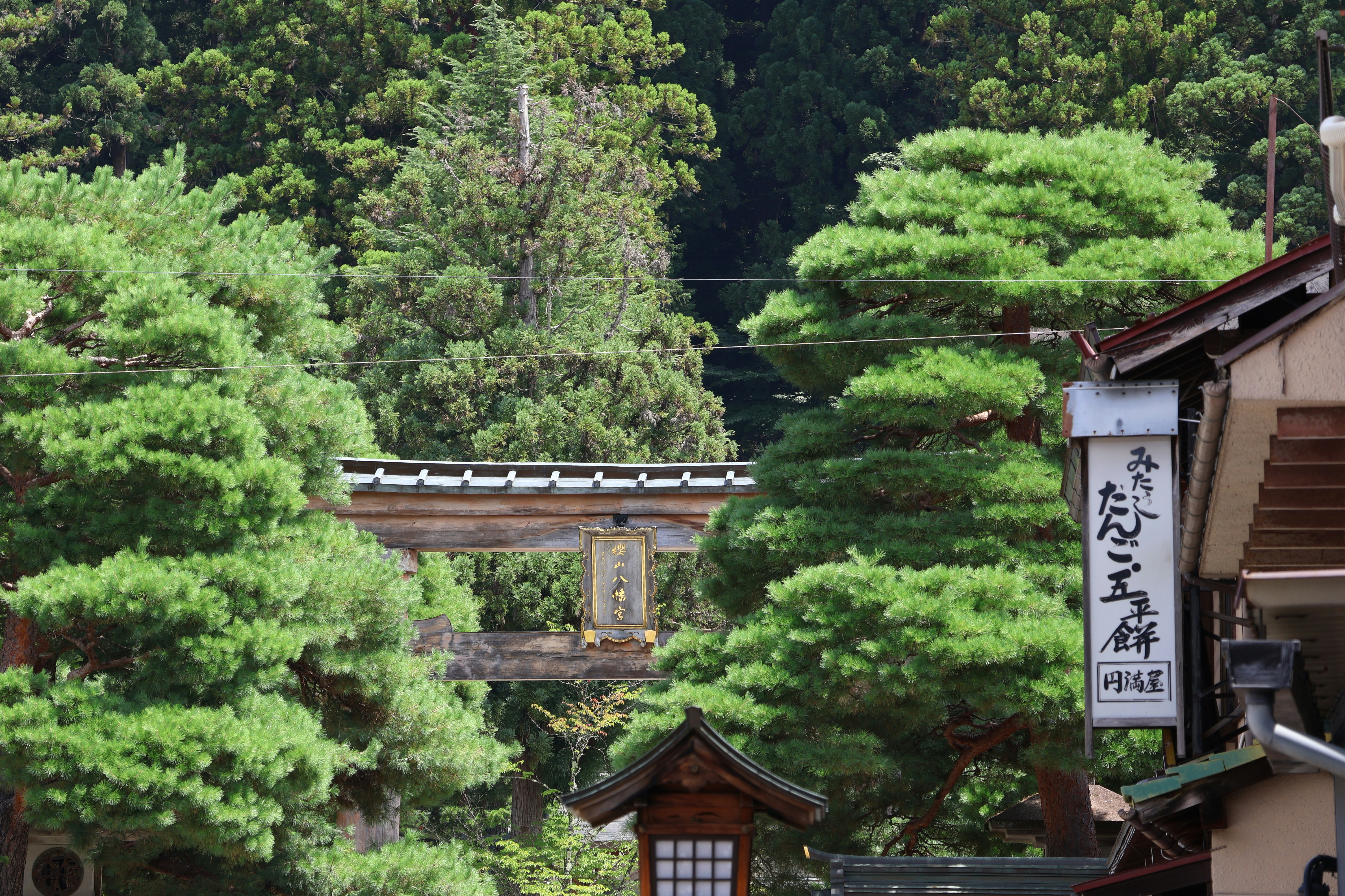 Photo by alamanga