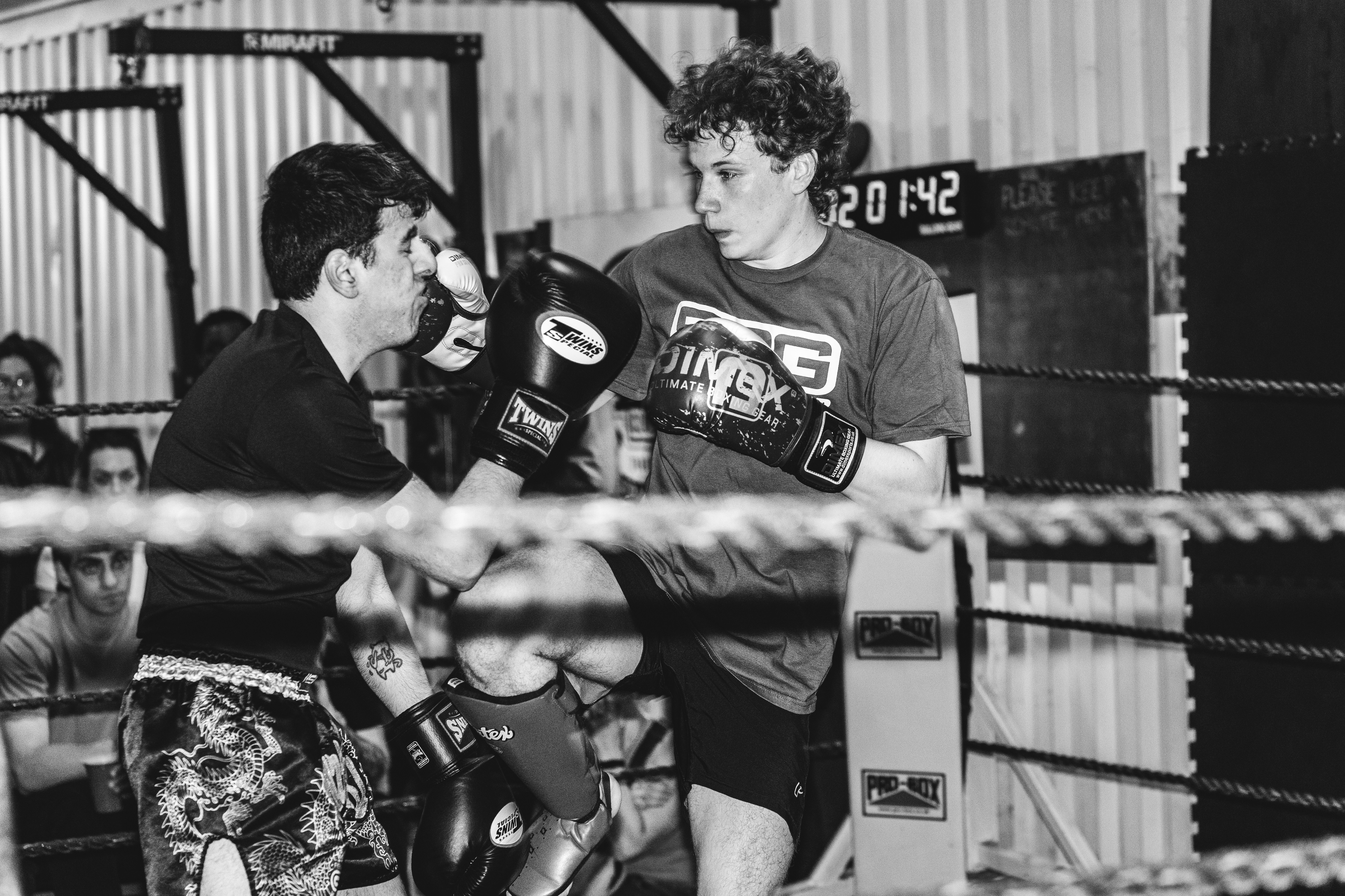 Beginner's Guide to Jake Paul: From Vine to Boxing