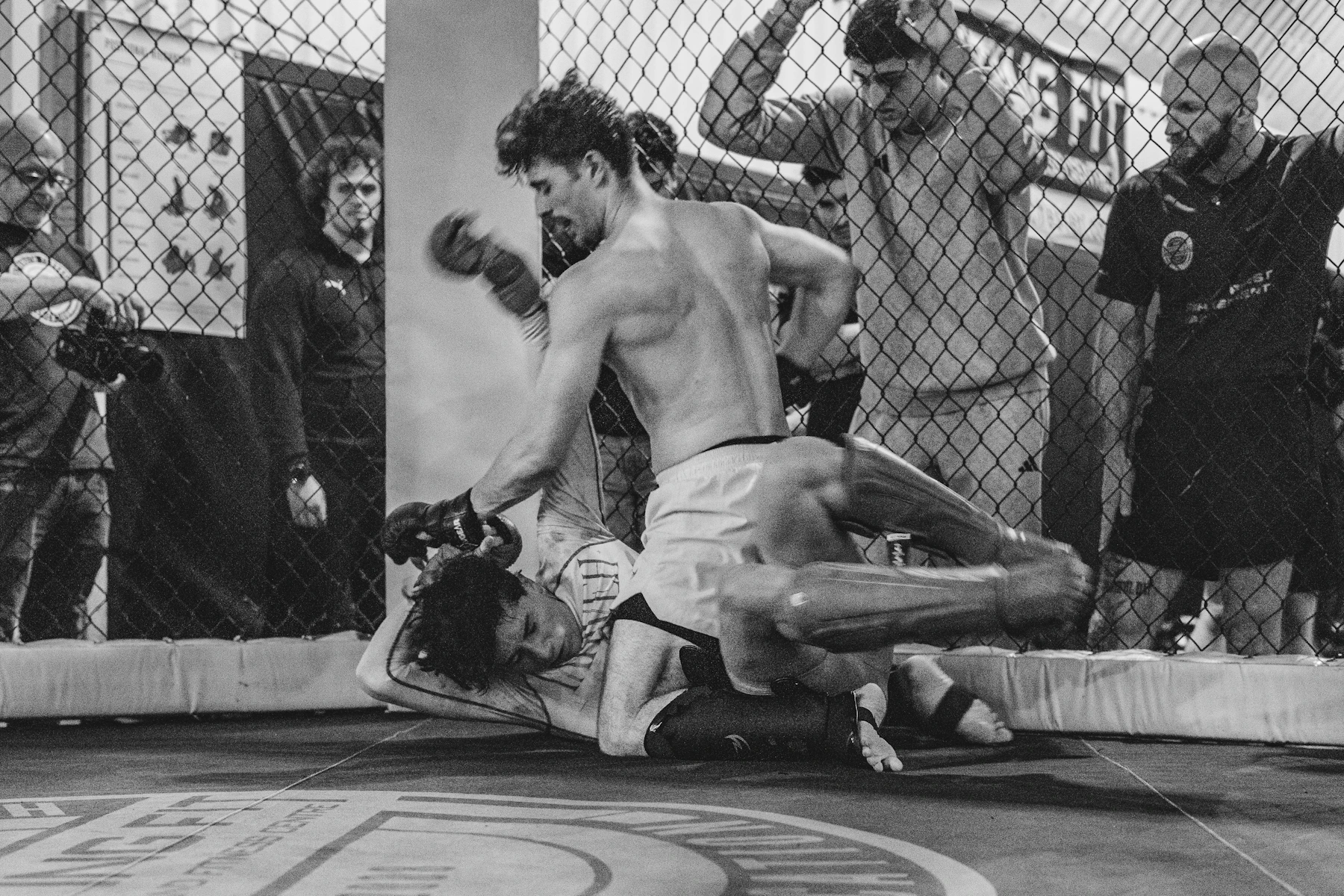 Иллюстрация к материалу Правила MMA: как устроен бой