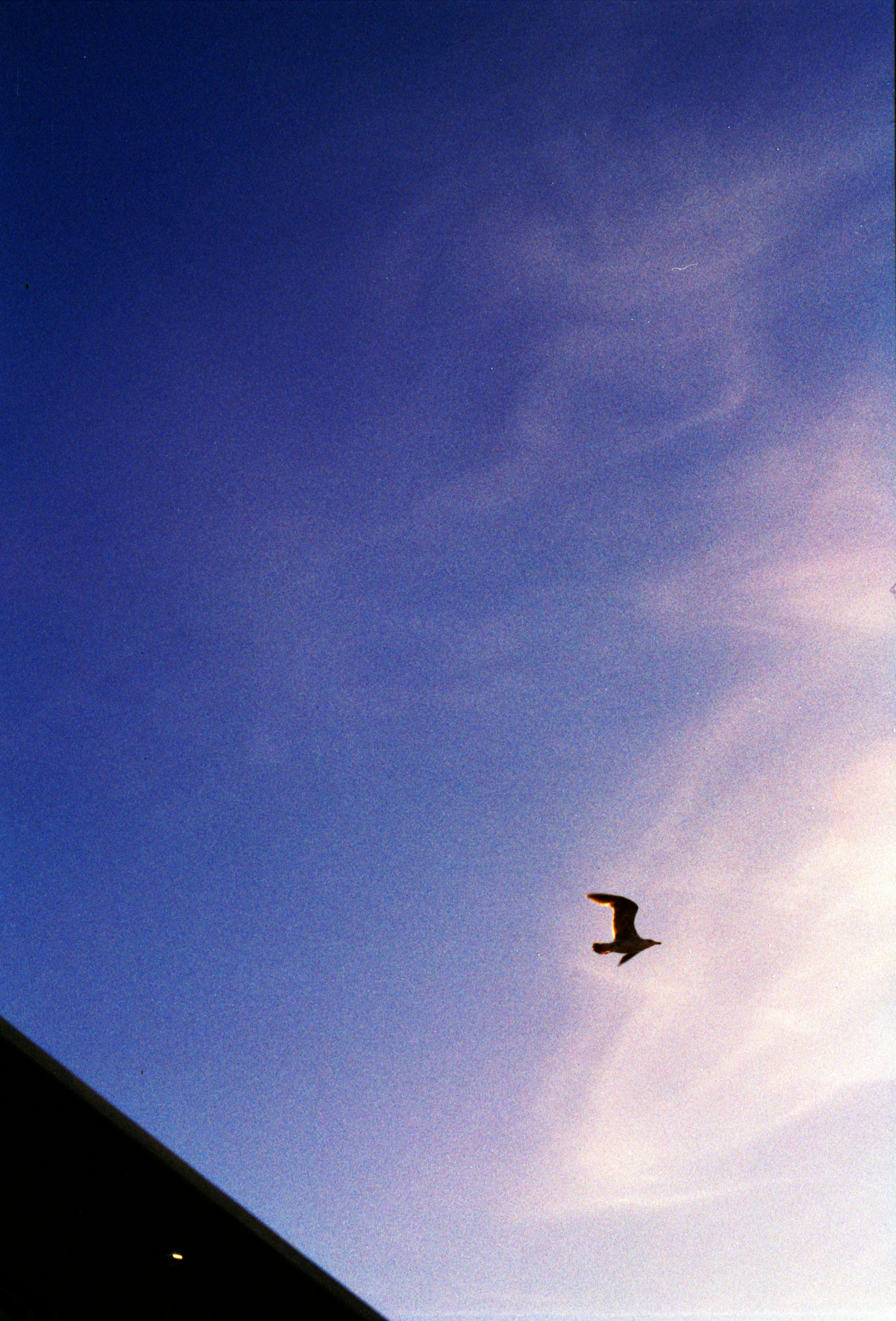 Photo by chrisvomradio