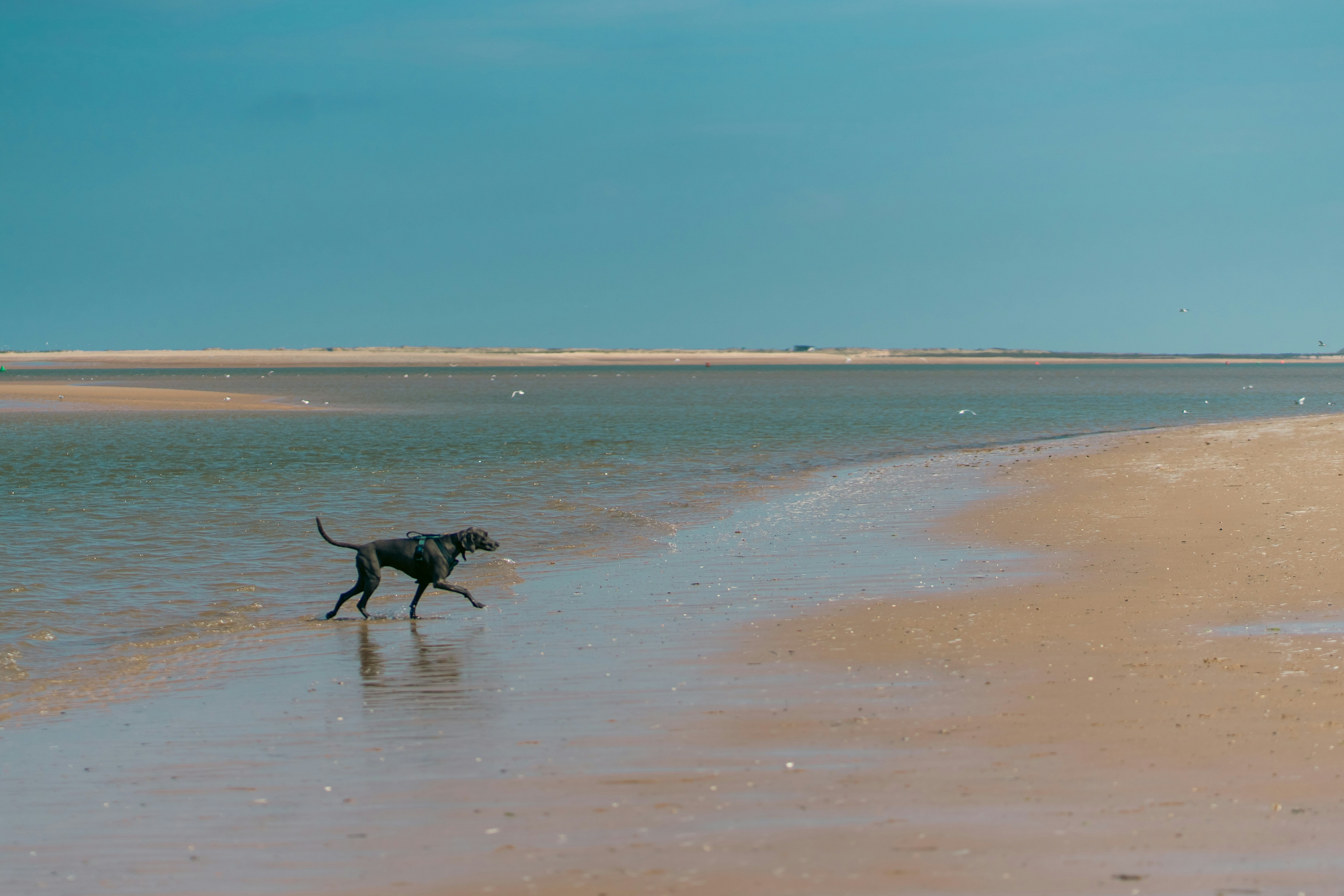 Photo by cldiego