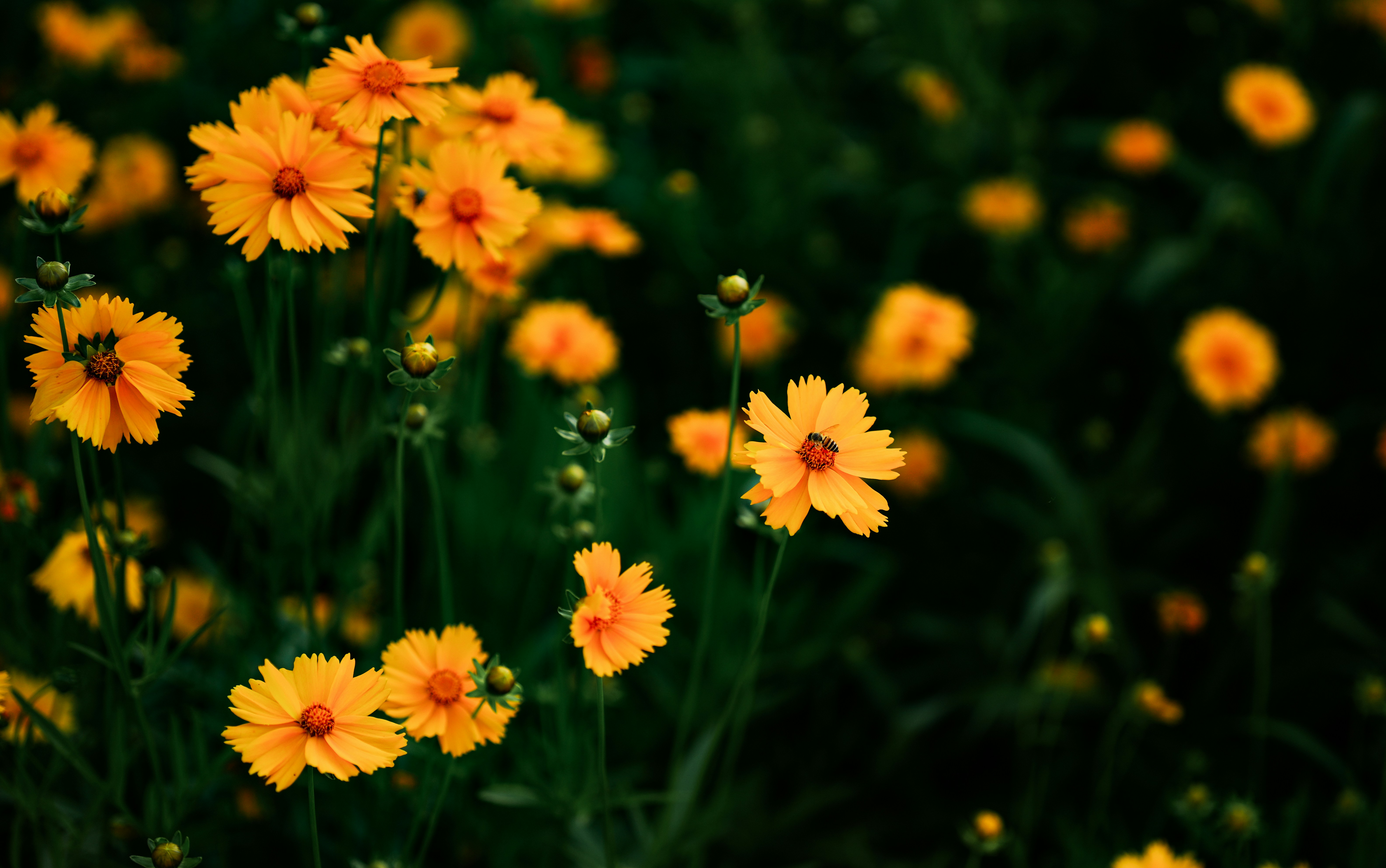 Photo by wy620