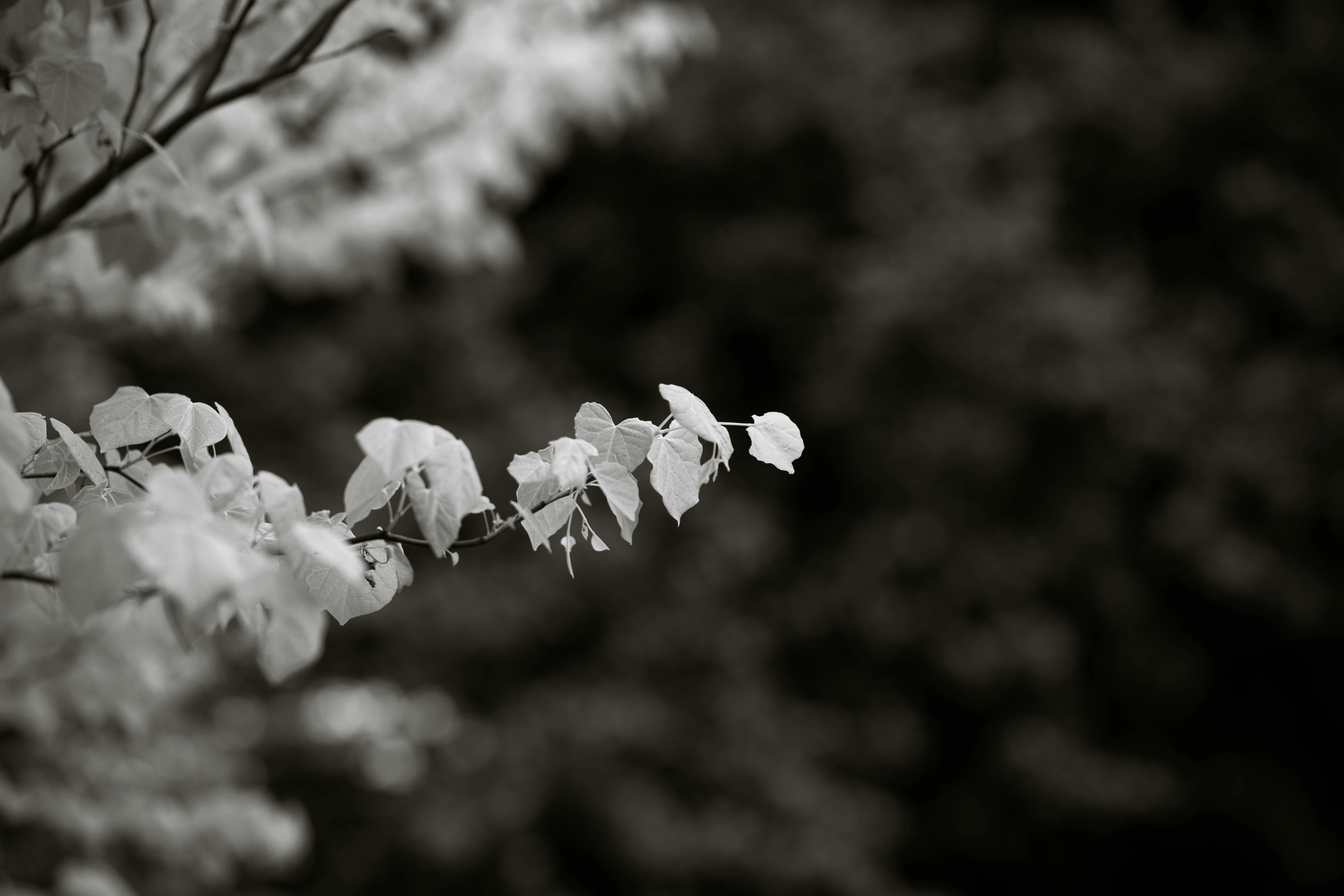 Photo by princessphotography42