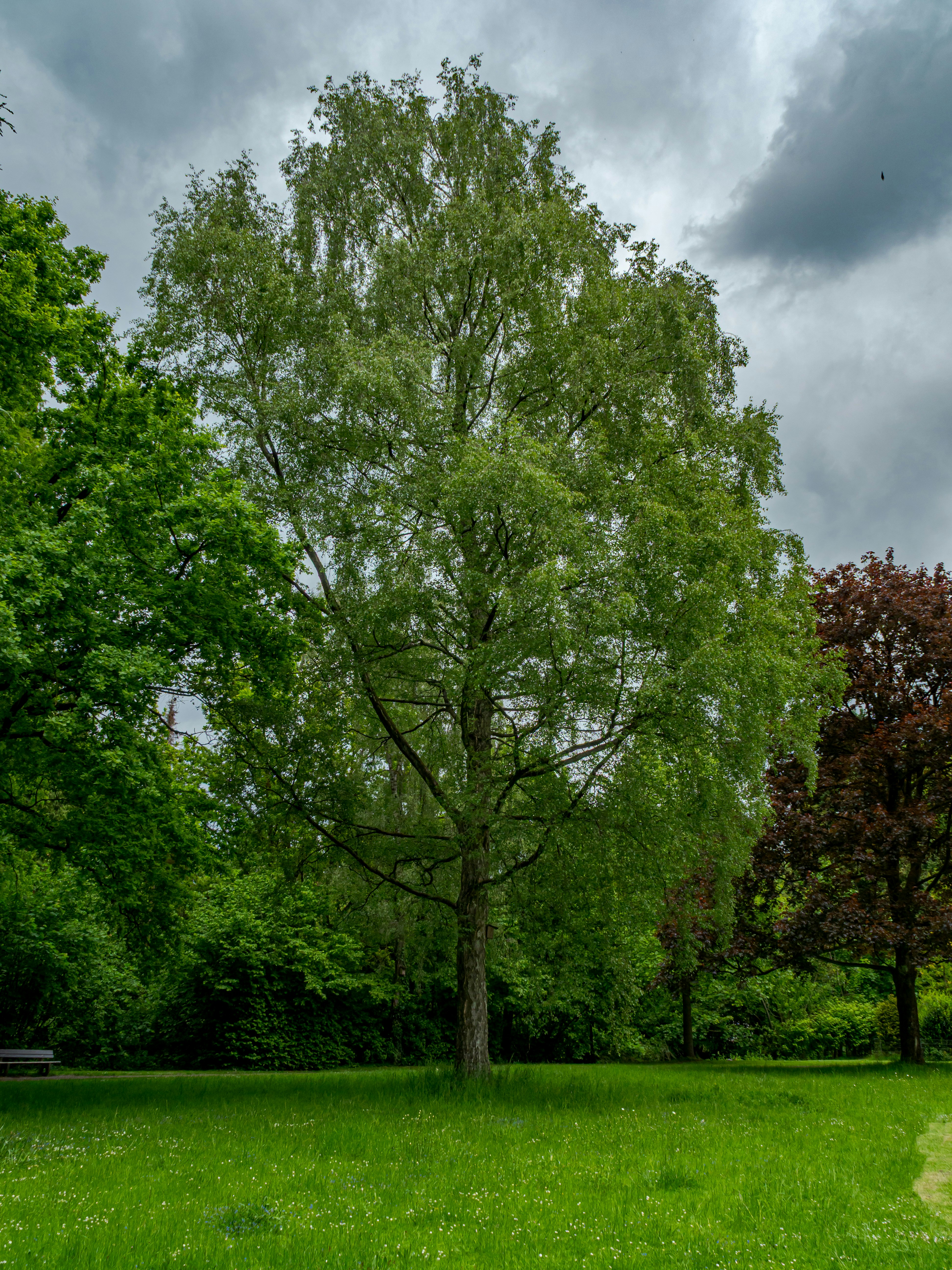 Photo by skstrannik