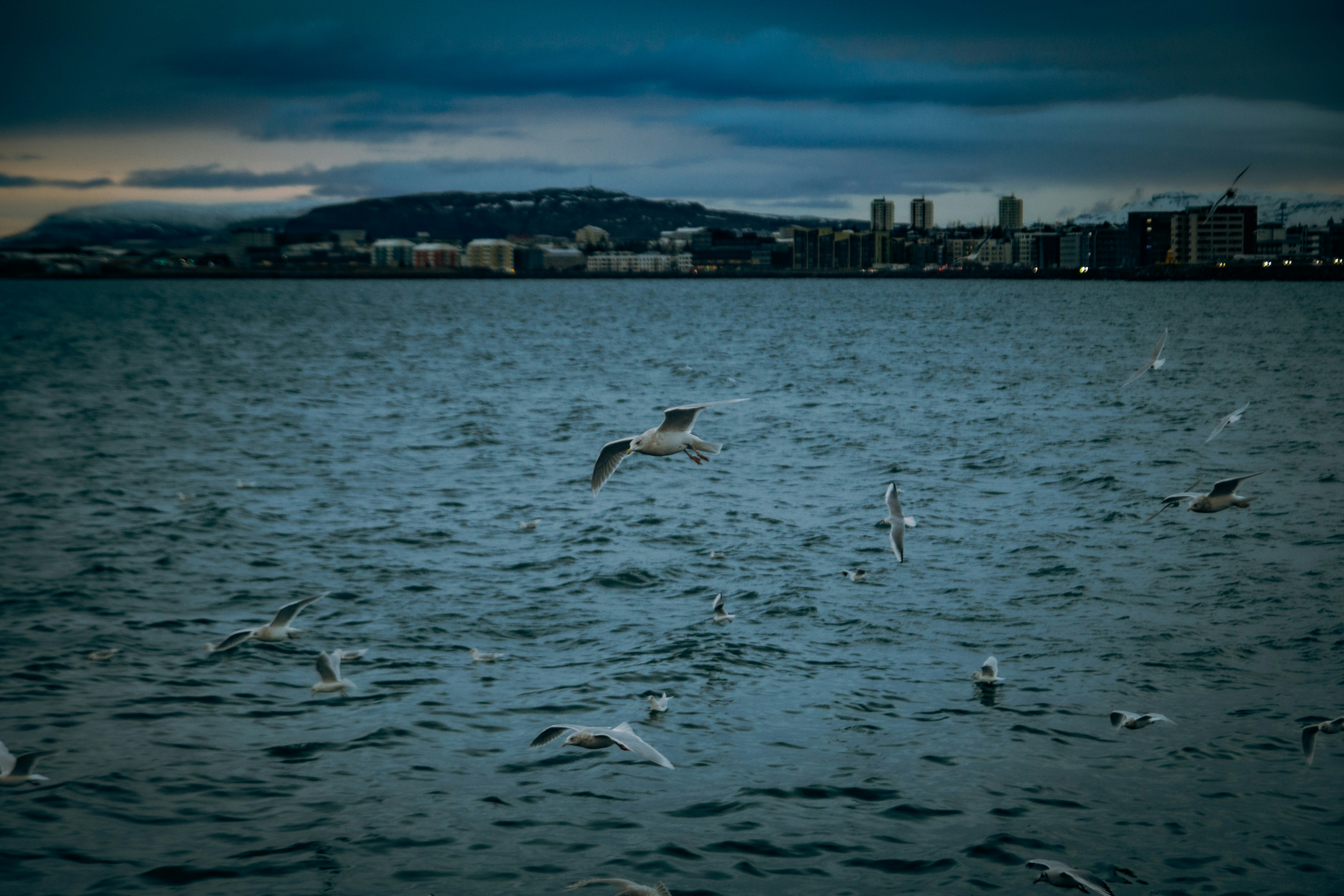 Photo by mircolosi
