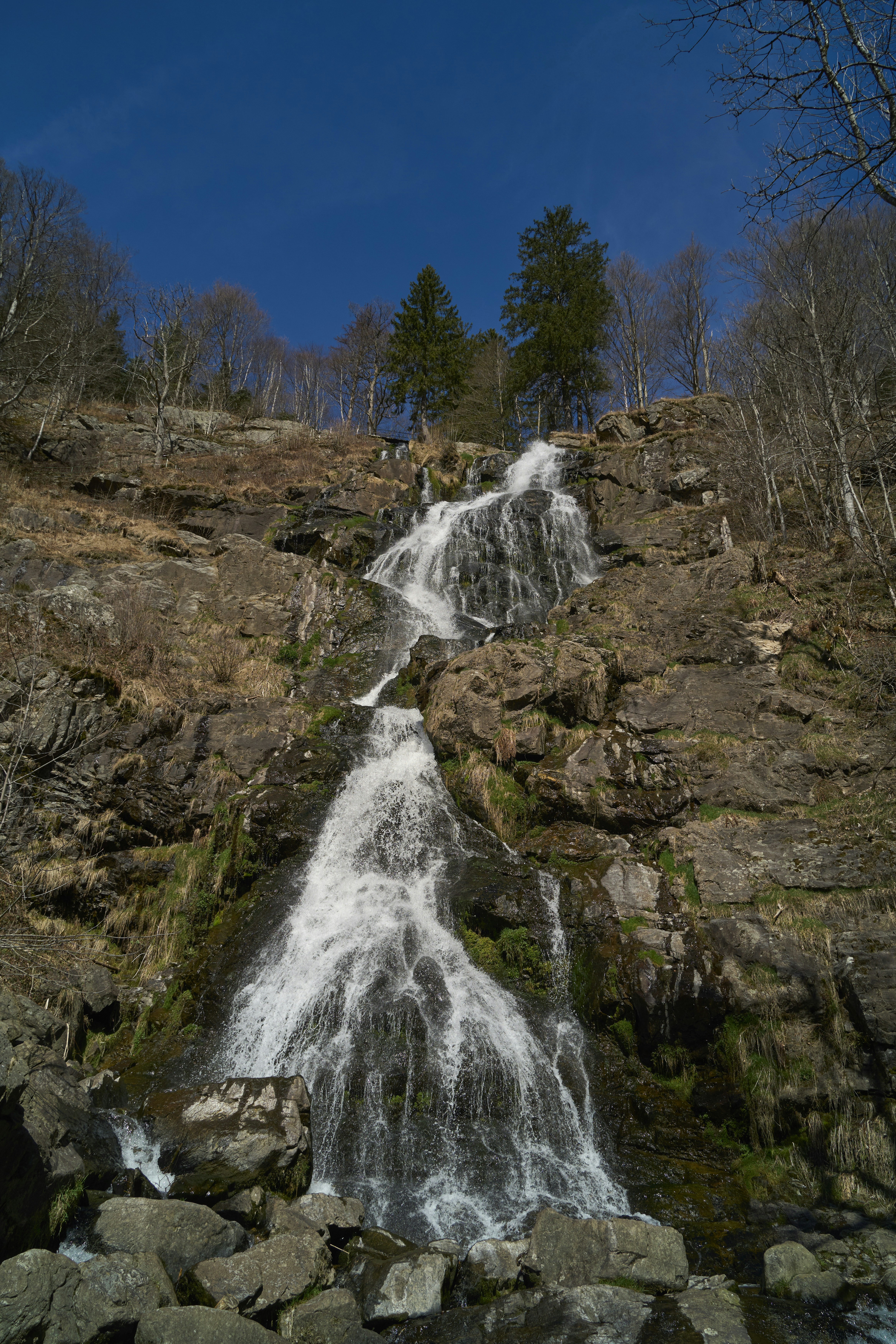 Une haute cascade dévale une colline rocheuse avec des arbres.