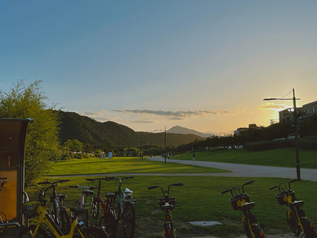 Family Travel Guide to Ulsan: 5-Day Classic Itinerary