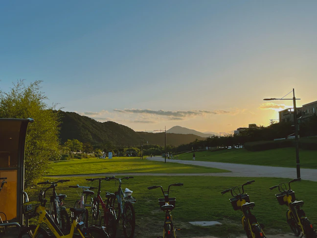 Family Travel Guide to Ulsan: 5-Day Classic Itinerary