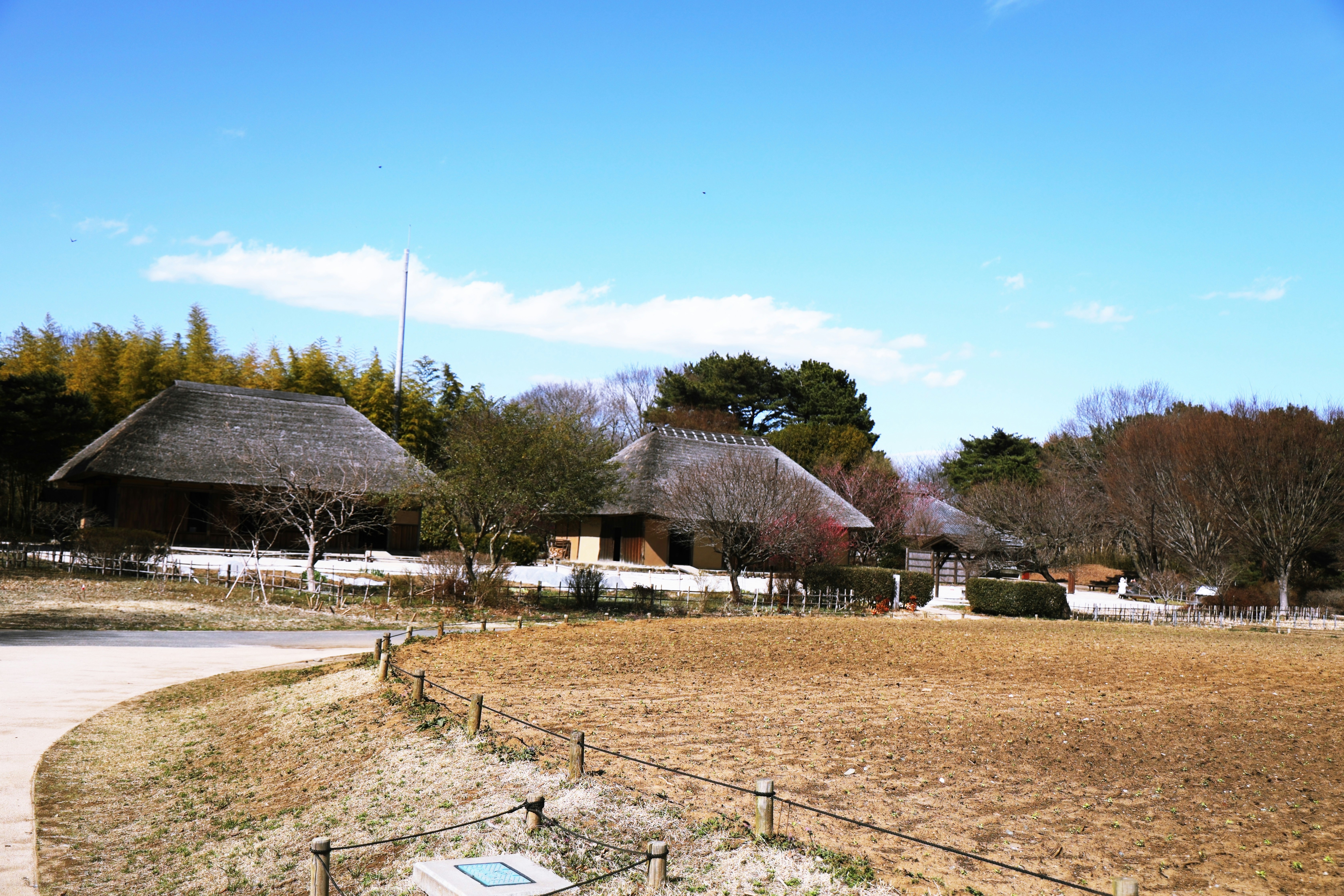 Traditional japanese houses with thatched roofs and a dry field.