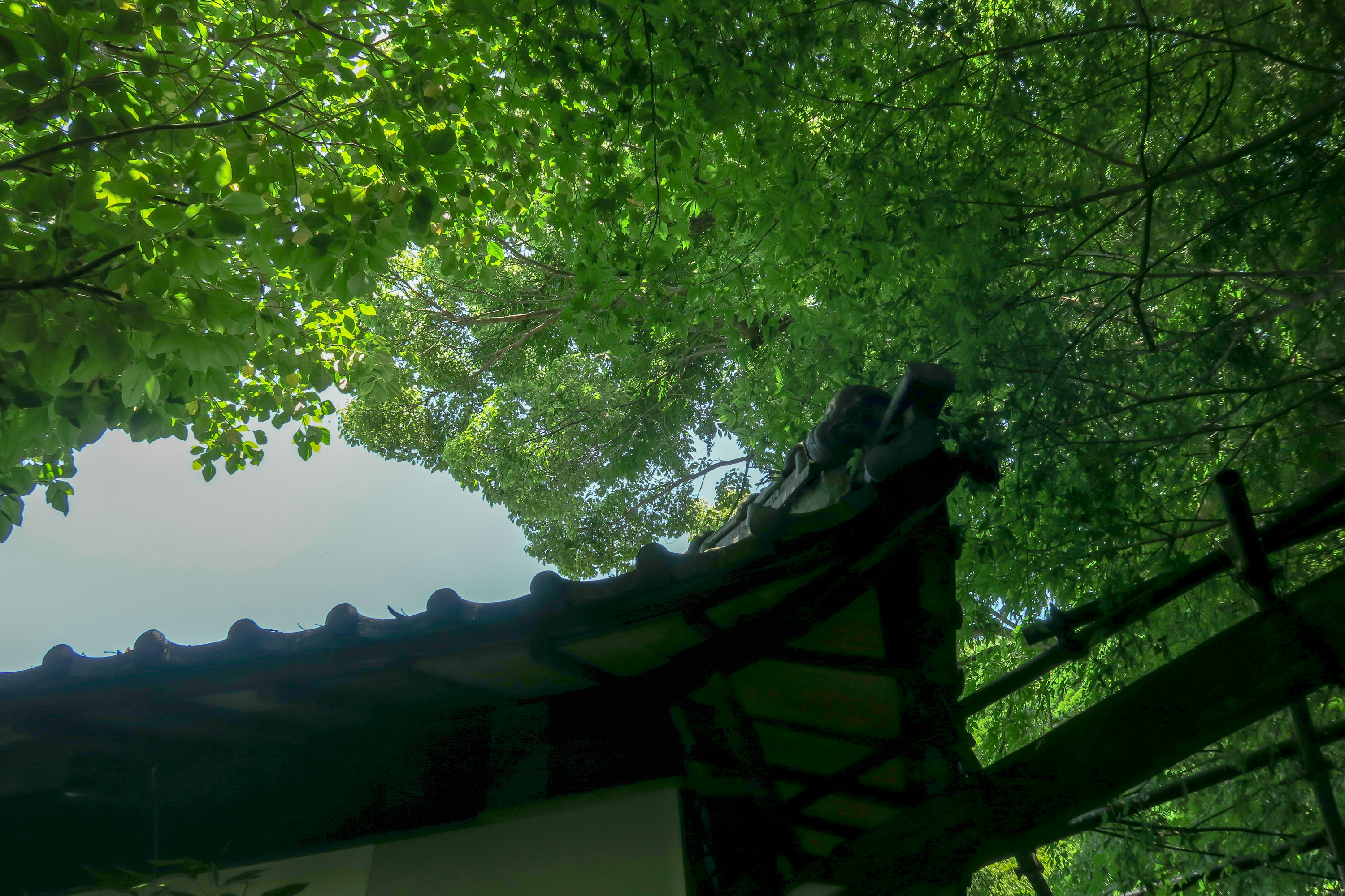 Photo by kugedo6060