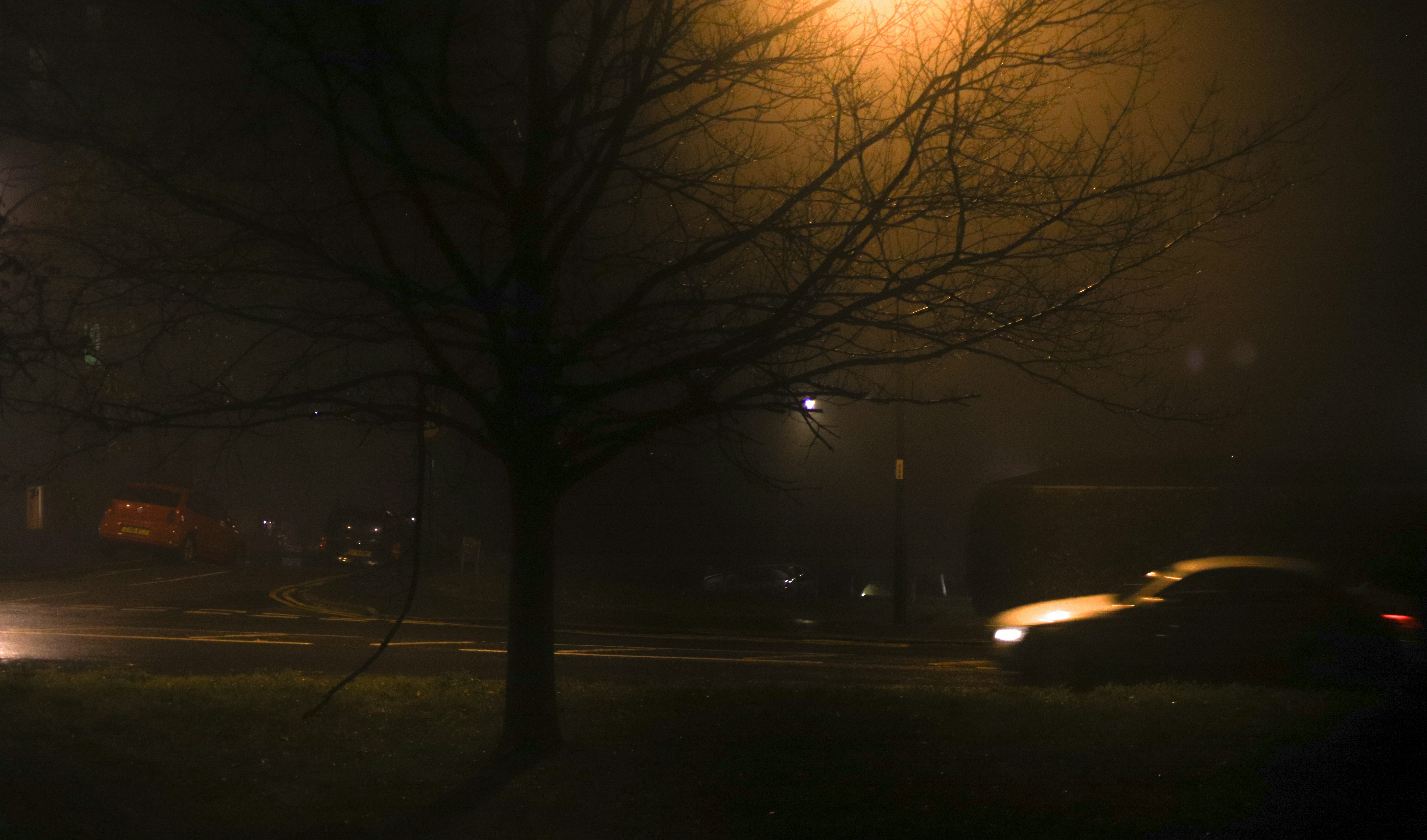 Photo by thefreshairsuburb