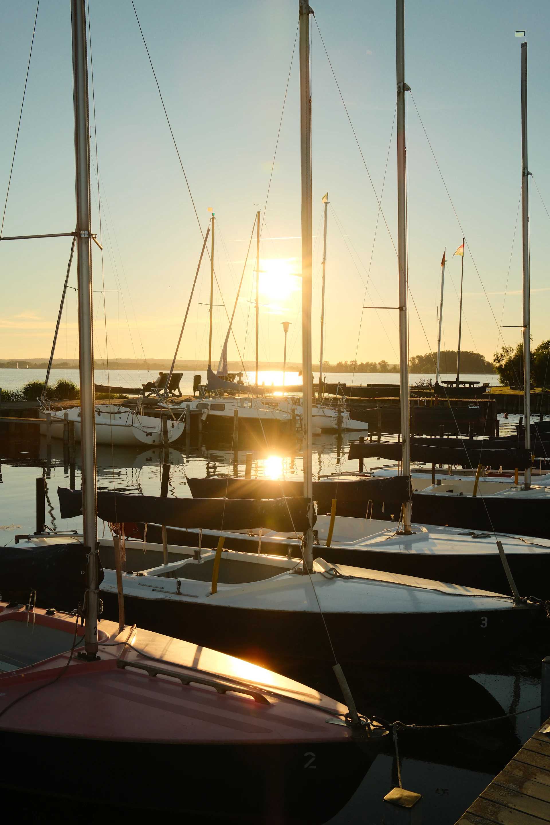 Sailboats docked in a harbor at golden sunset.