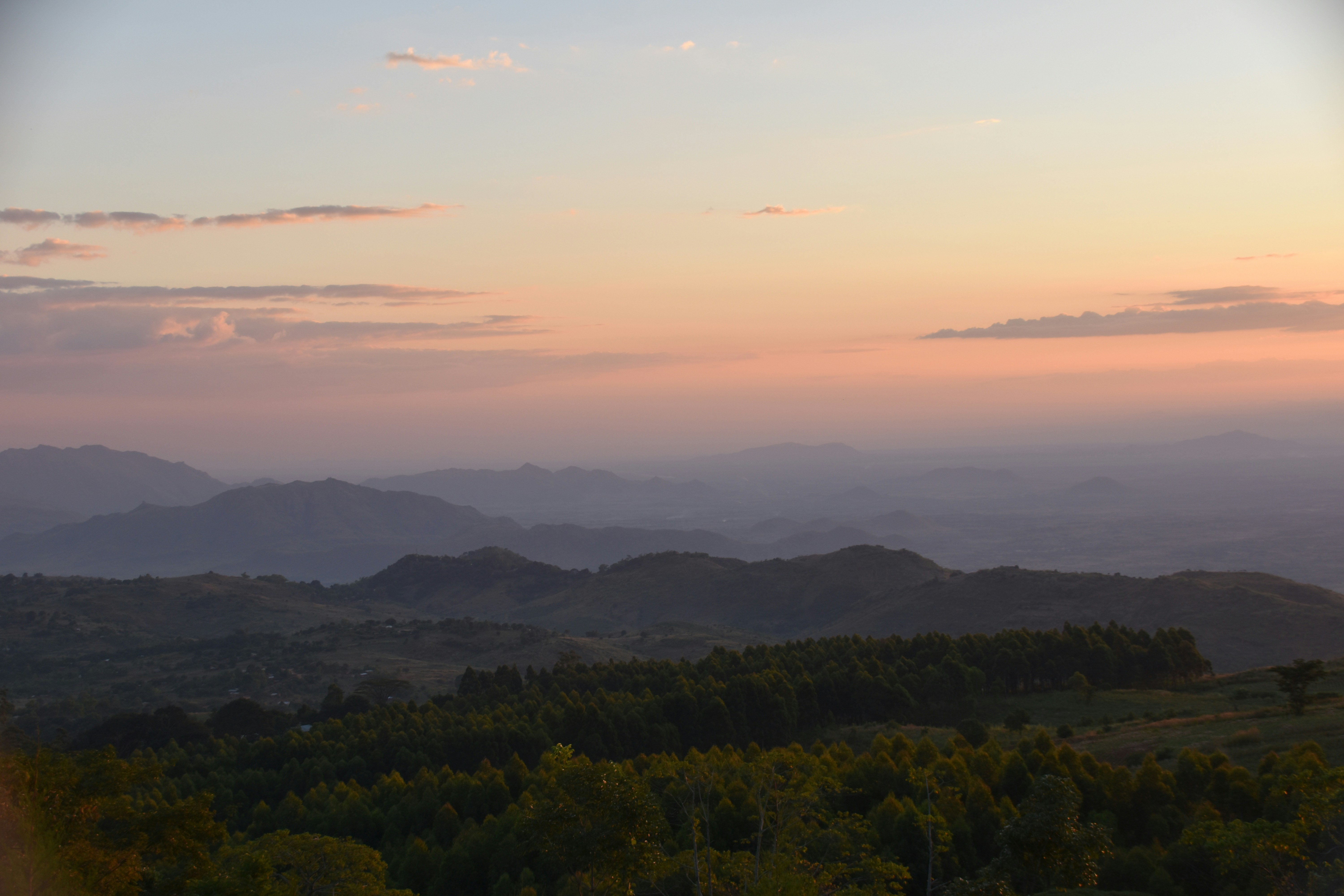 Photo by songofthedodo
