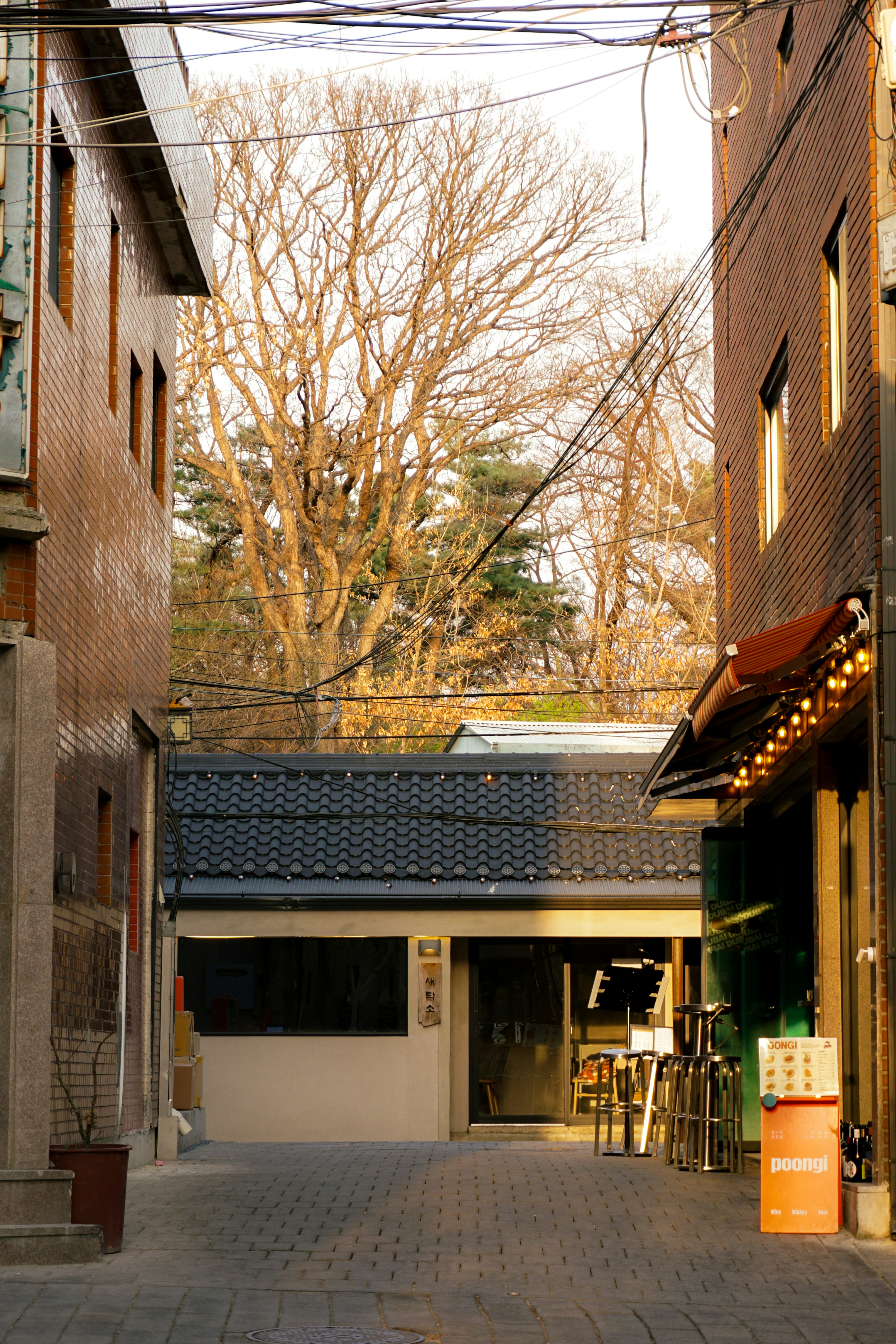 Photo by kimsungwon