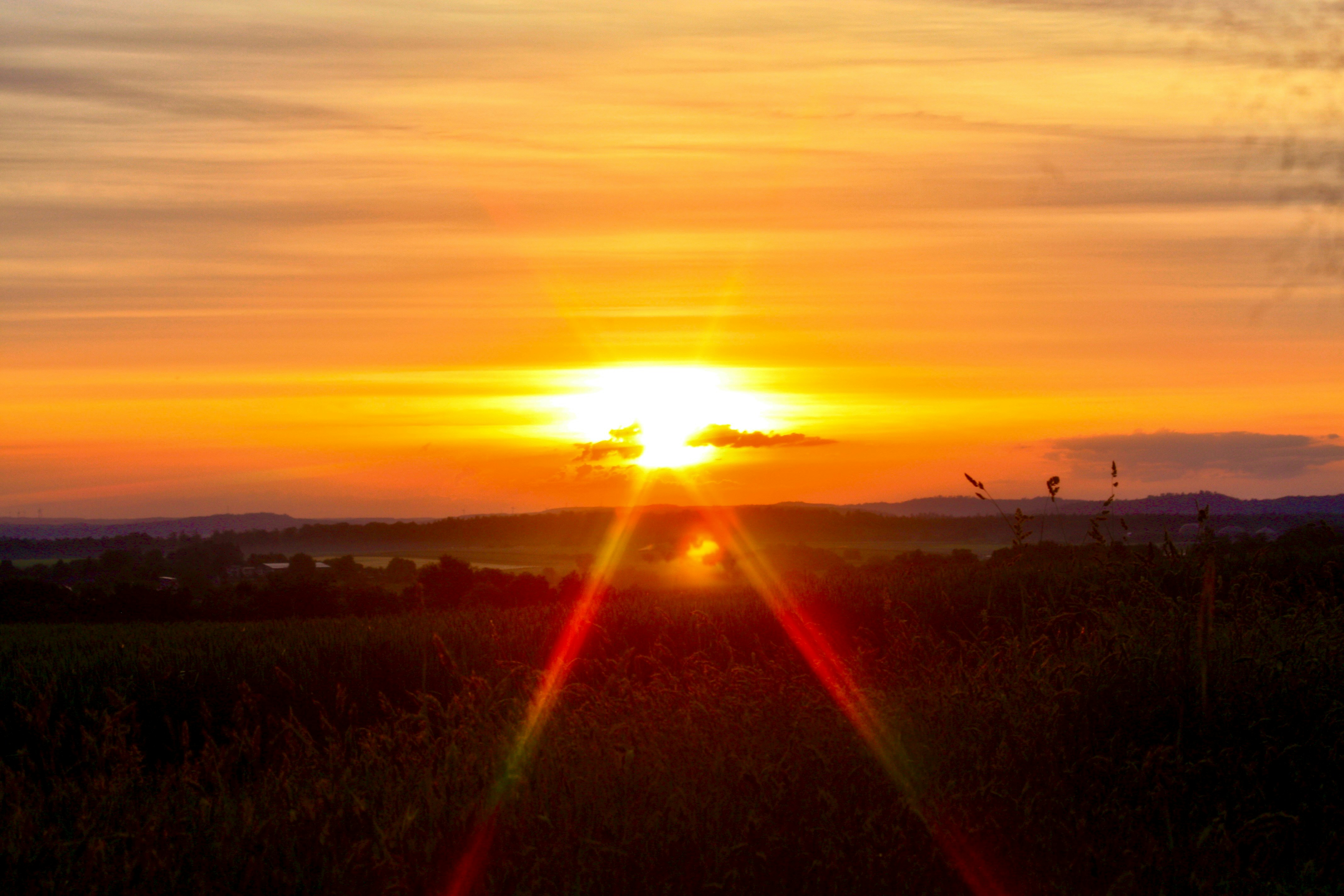Photo by torben08