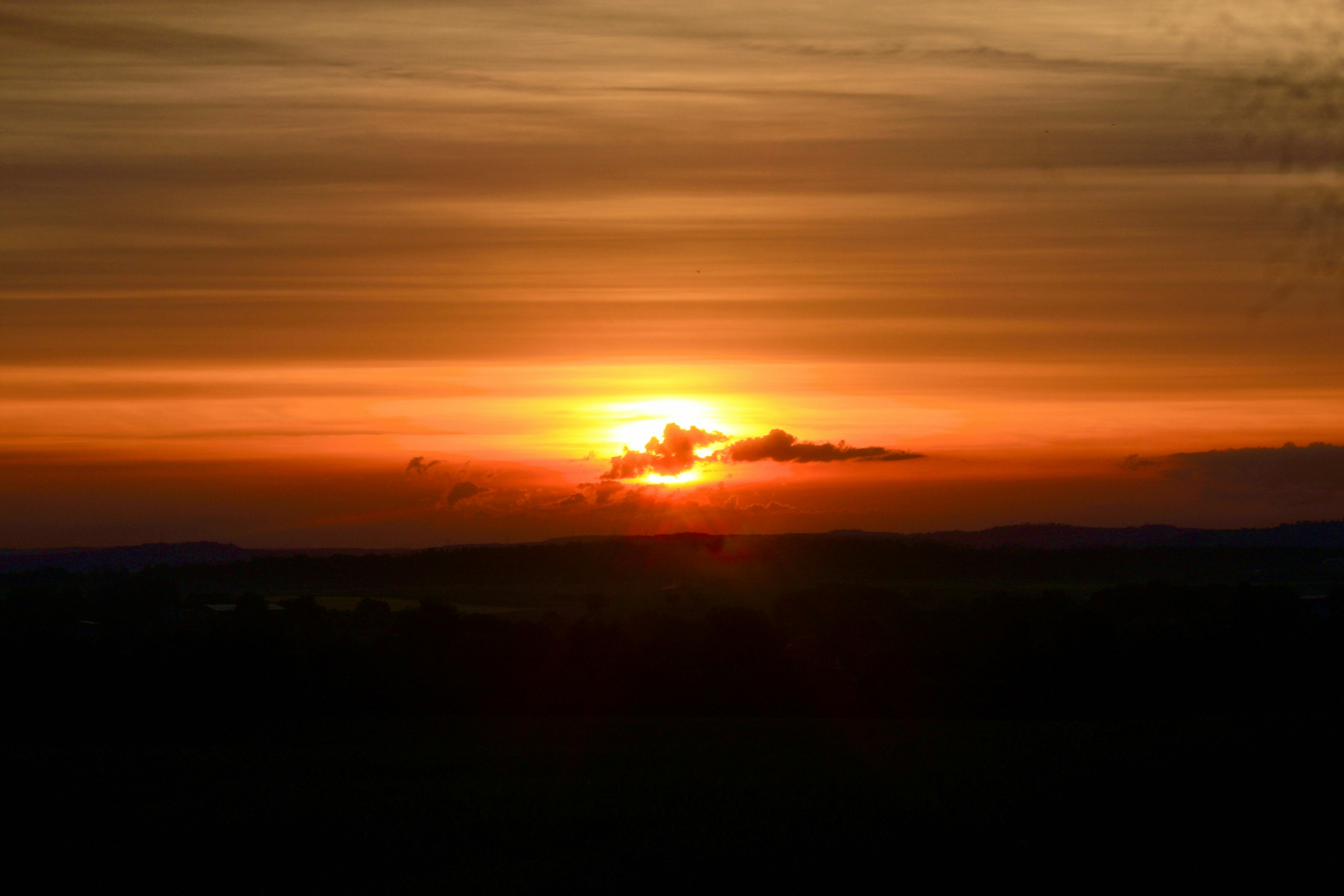 Photo by torben08