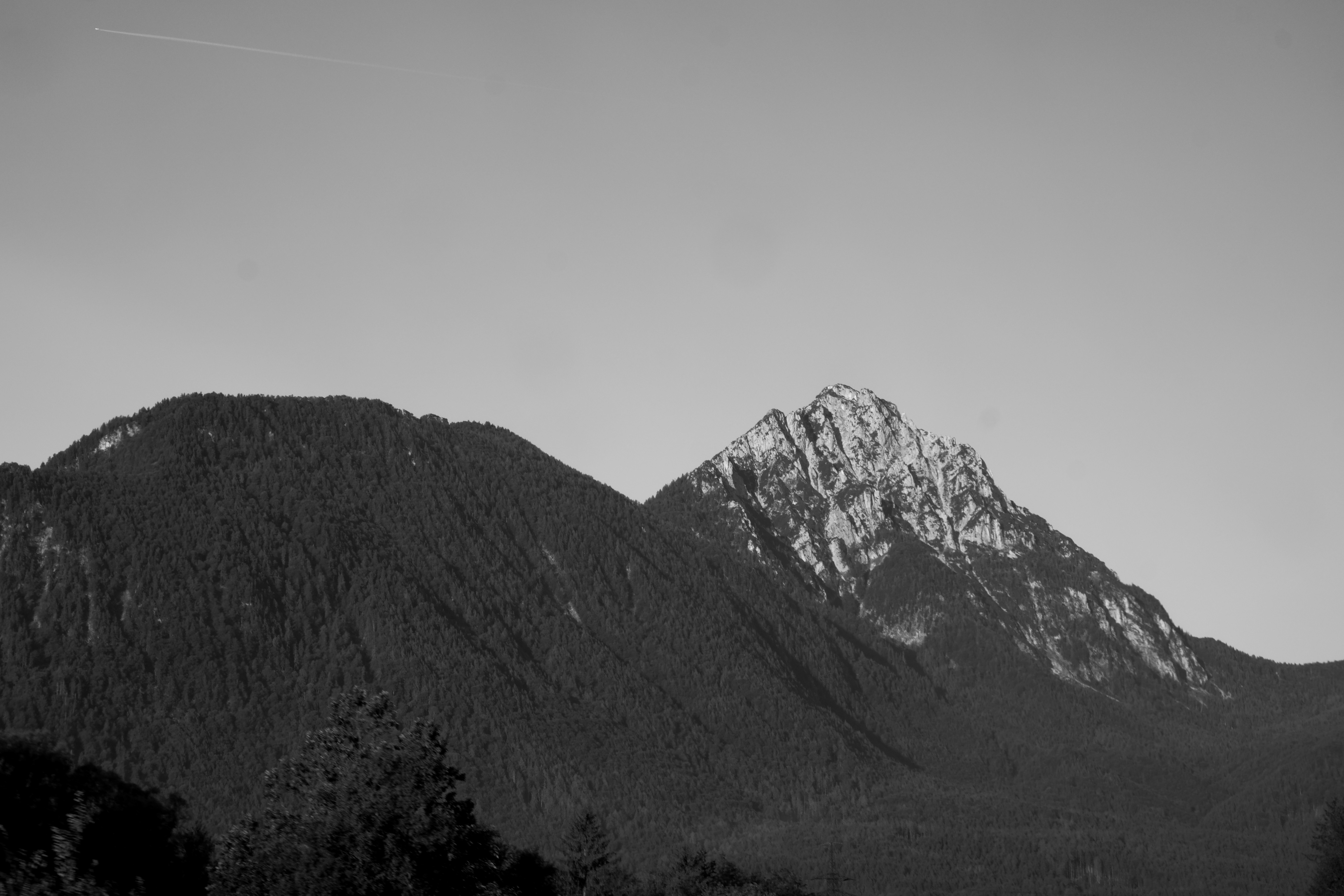 Photo by rubenmadila