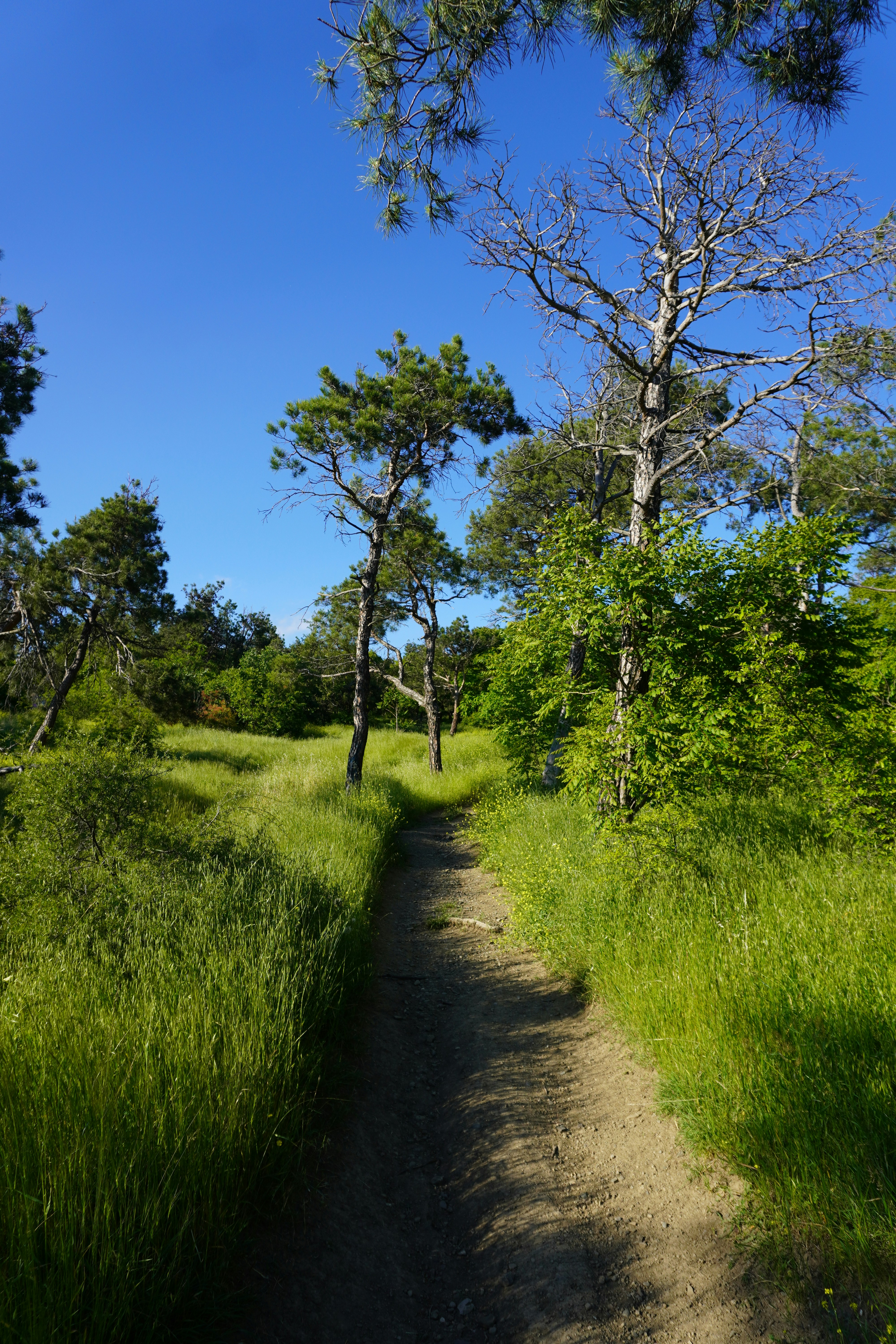 Photo by nelly_shemshenovi