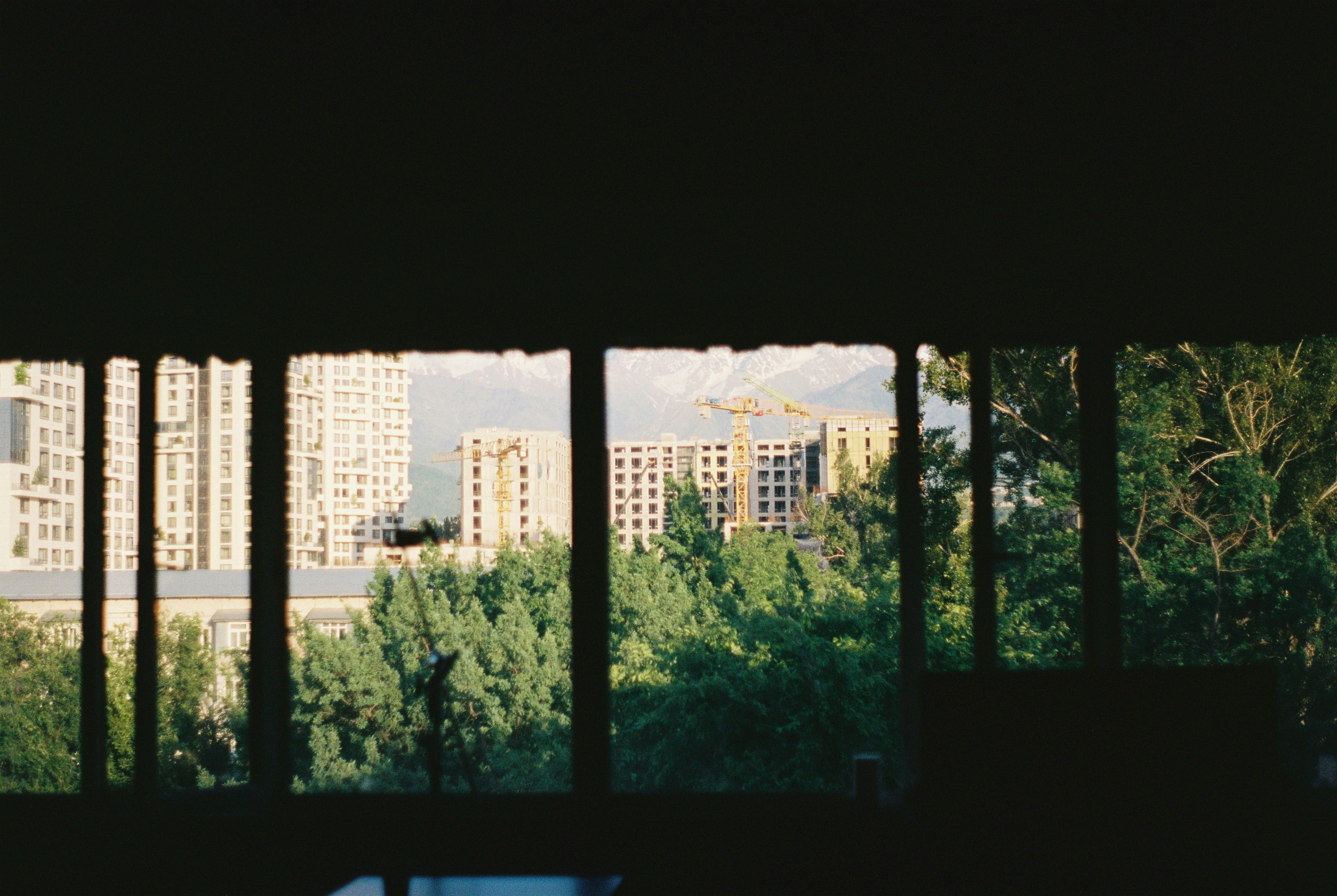 Photo by dmitrii_filatov