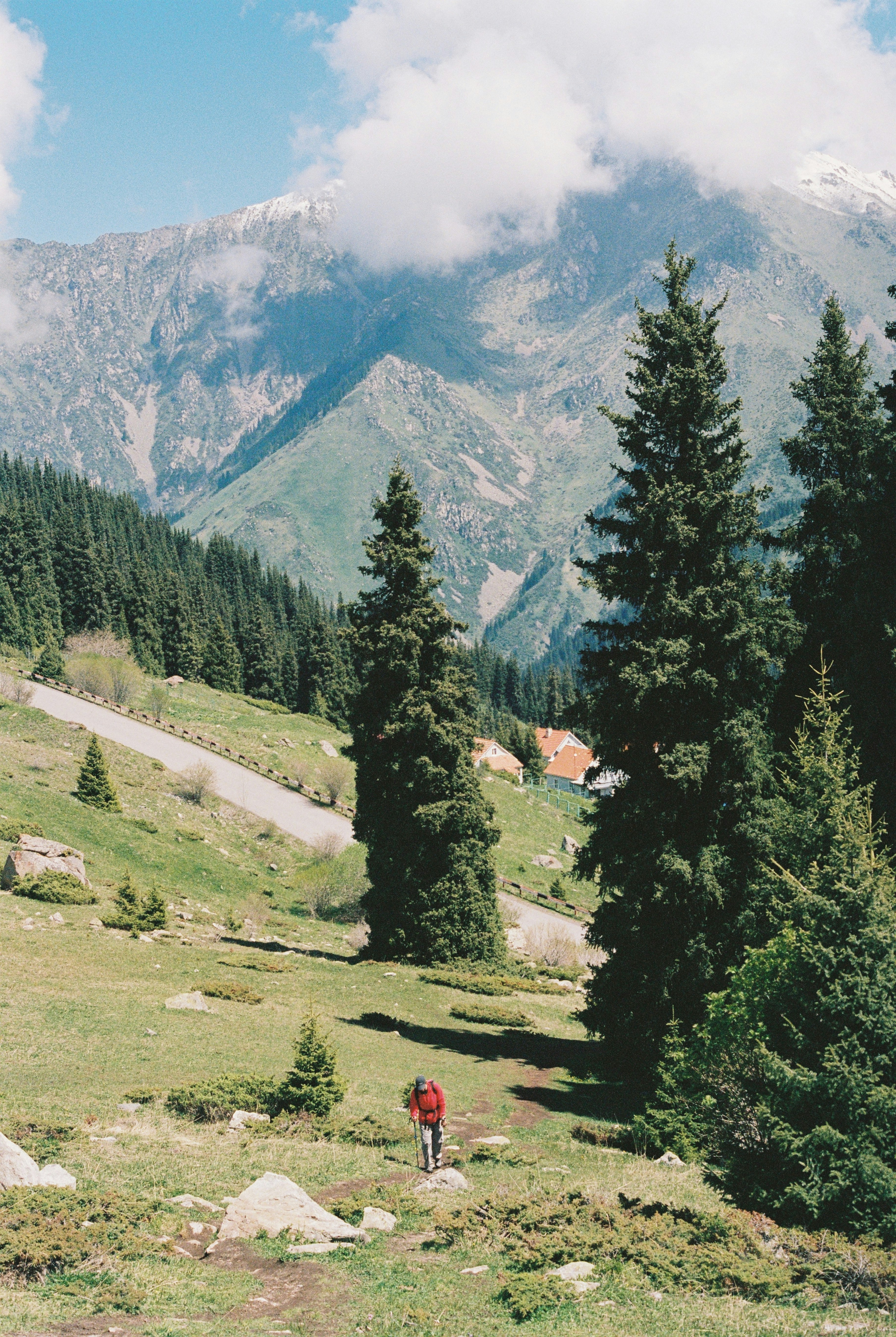 Hiker in red walks path amidst tall pines and mountains.